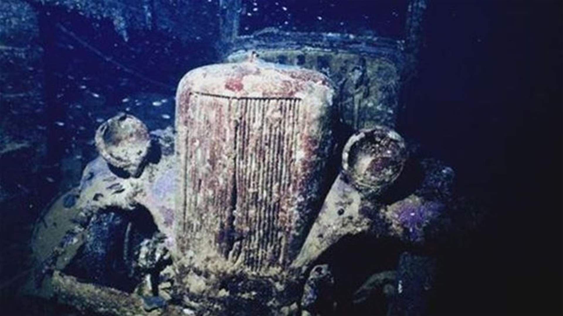 Scuba divers given chance to explore living history