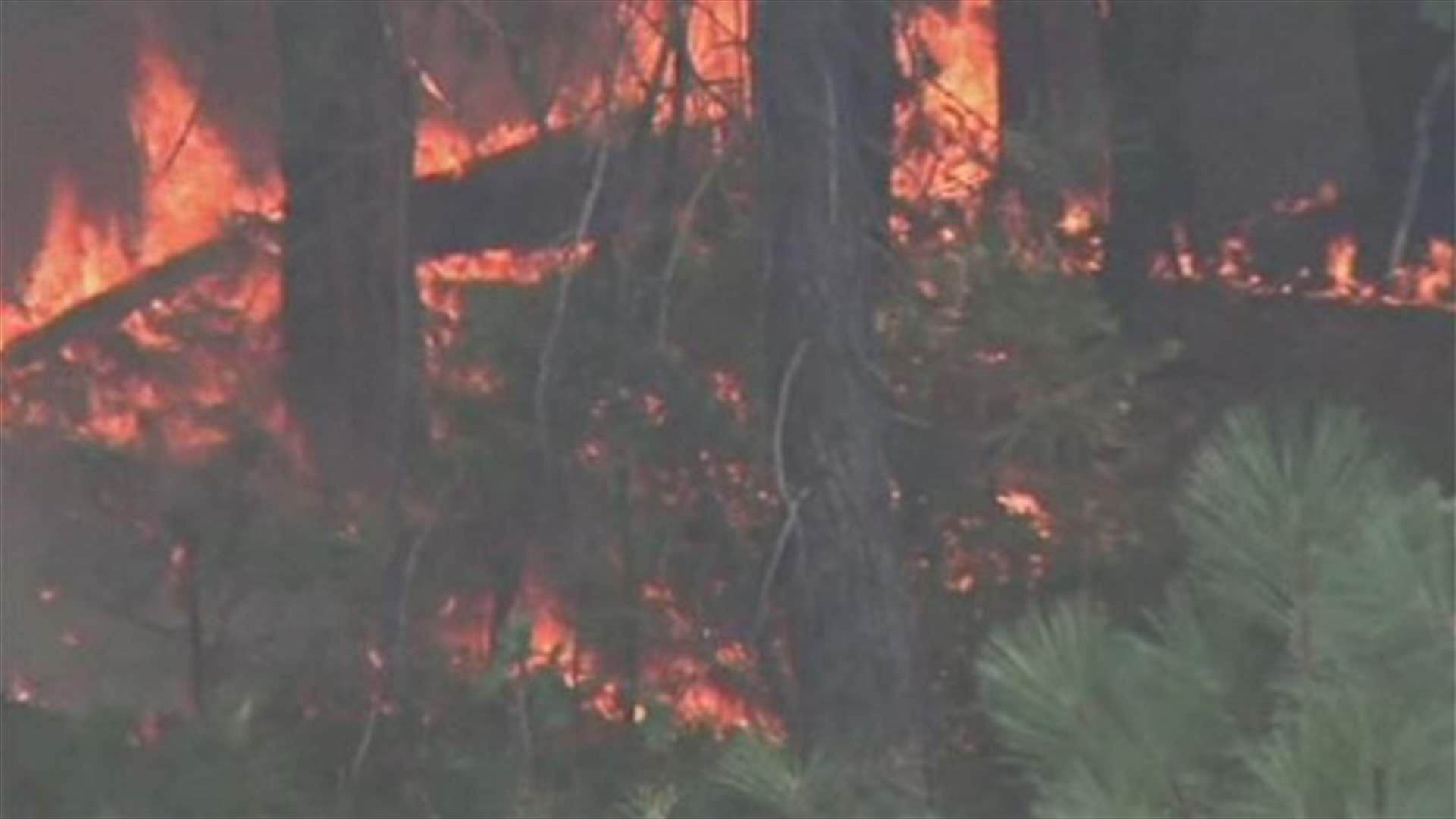 Wildfire closing in on US Bay area's water source