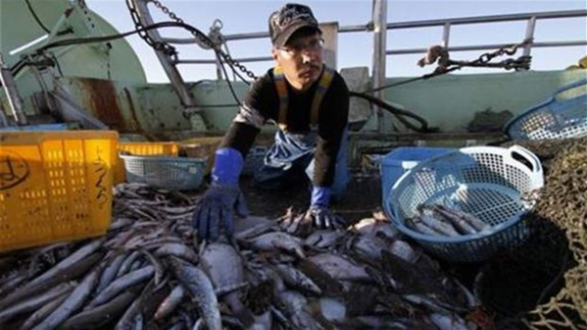Fukushima crisis new blow to fishermen's hopes