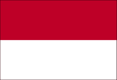 Strong quake hits Indonesia; no tsunami threat