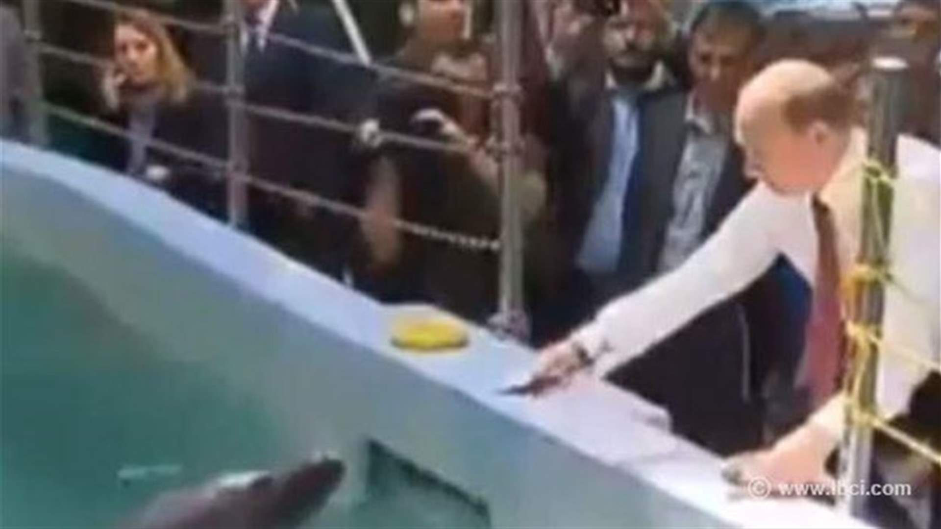REPORT: Putin visits oceanarium during trip to eastern areas of Russia