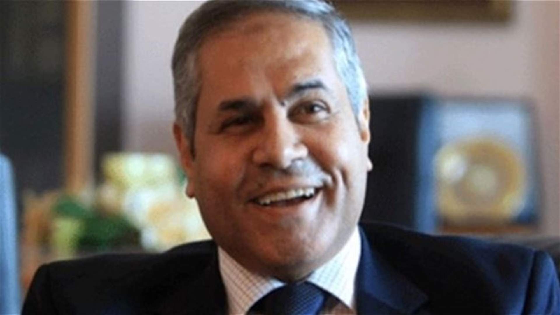 السفير المصري: نرفض الحل العسكري بسوريا وما حدث بمصر لم يكن انقلاباً