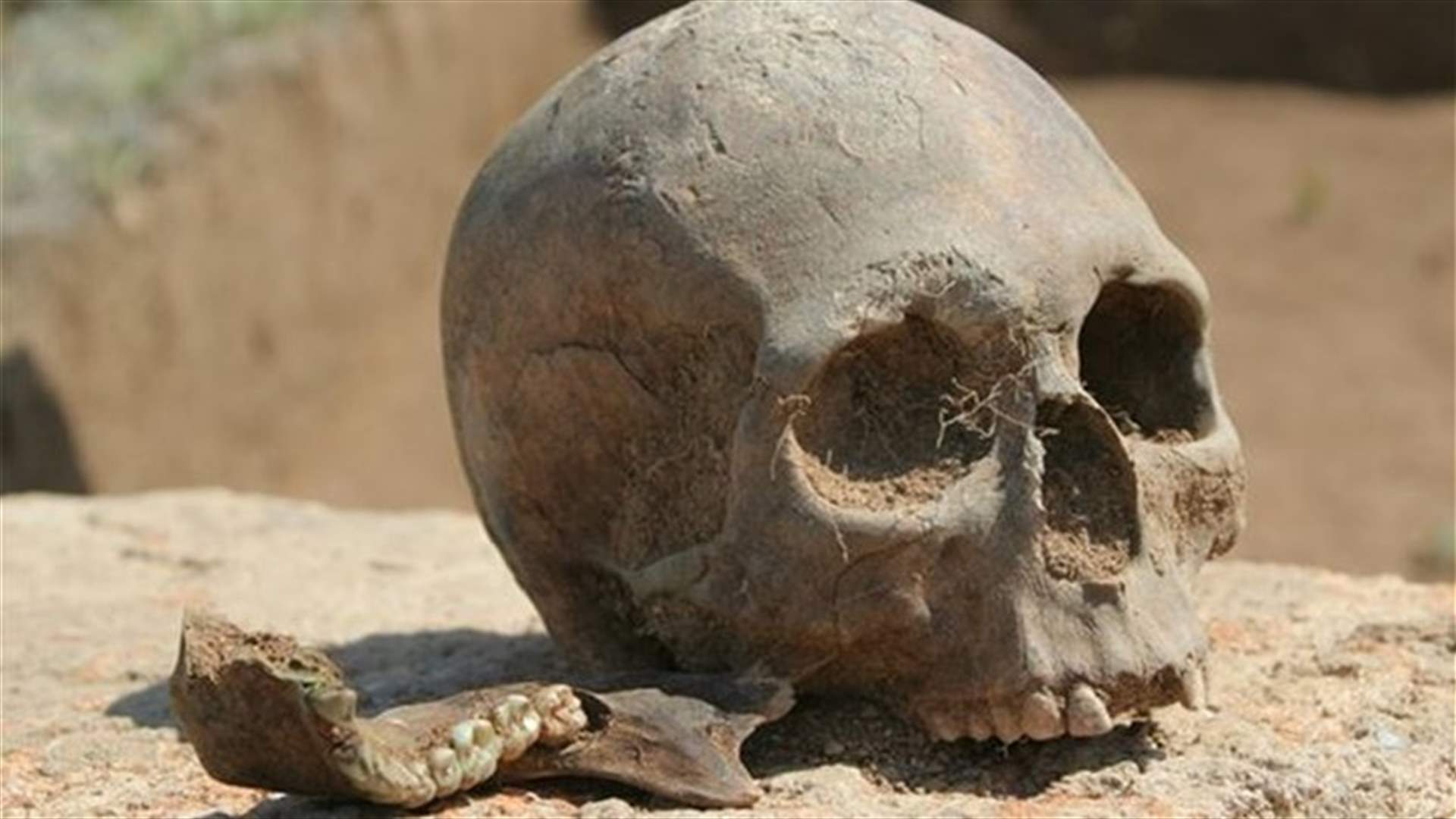 16 skulls found on streets in Prague
