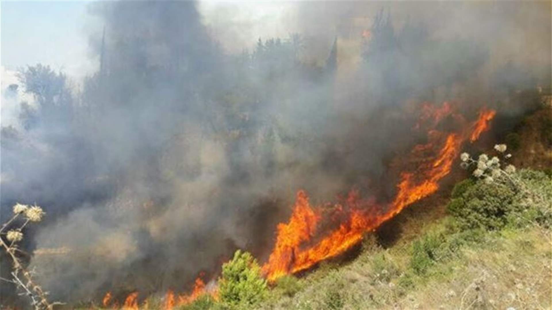 Forest fire rages in Halat’s Mashnou’a region