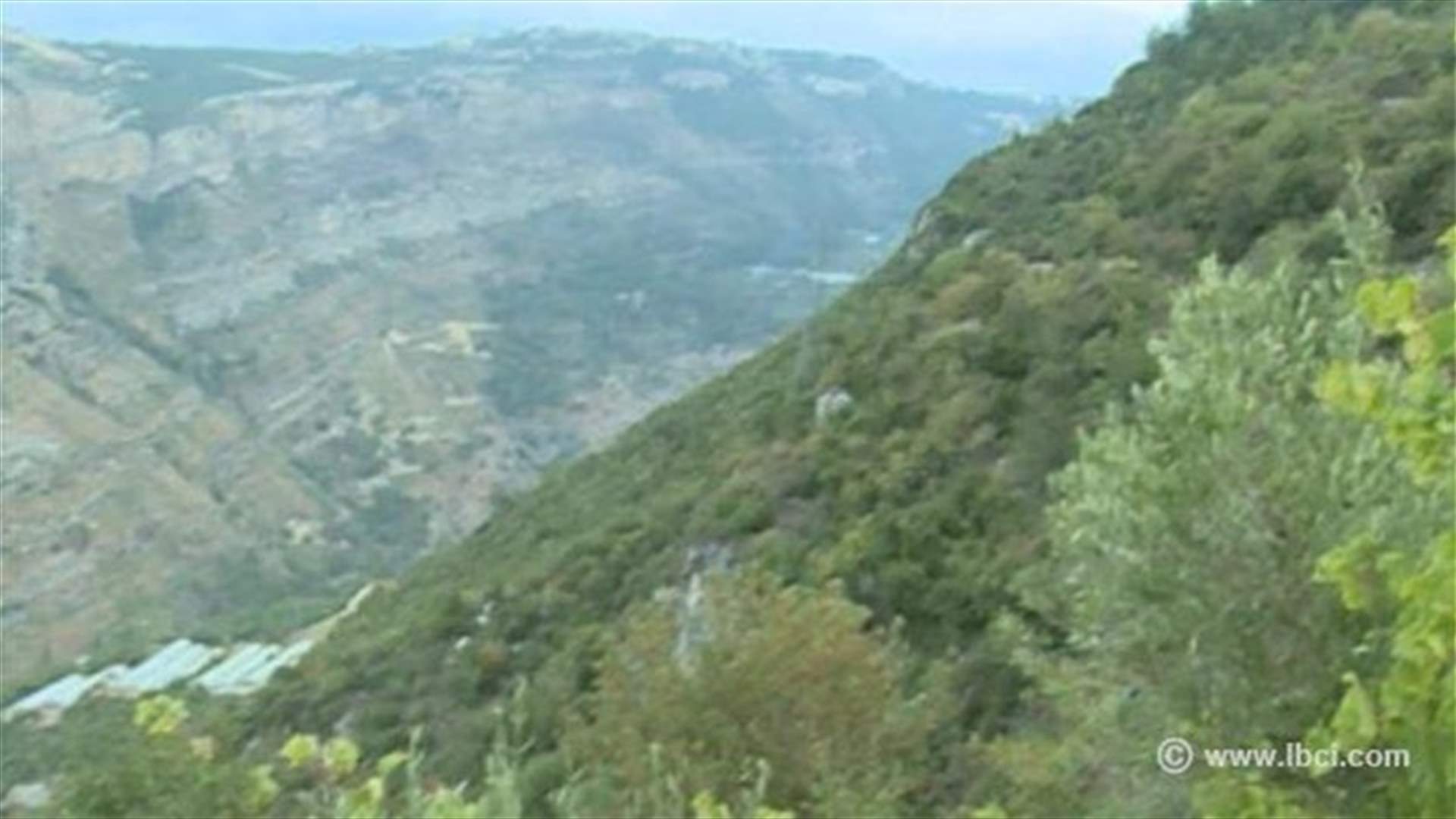 اصطادتهما طريق المعيصرة مساء الجمعة لكن...