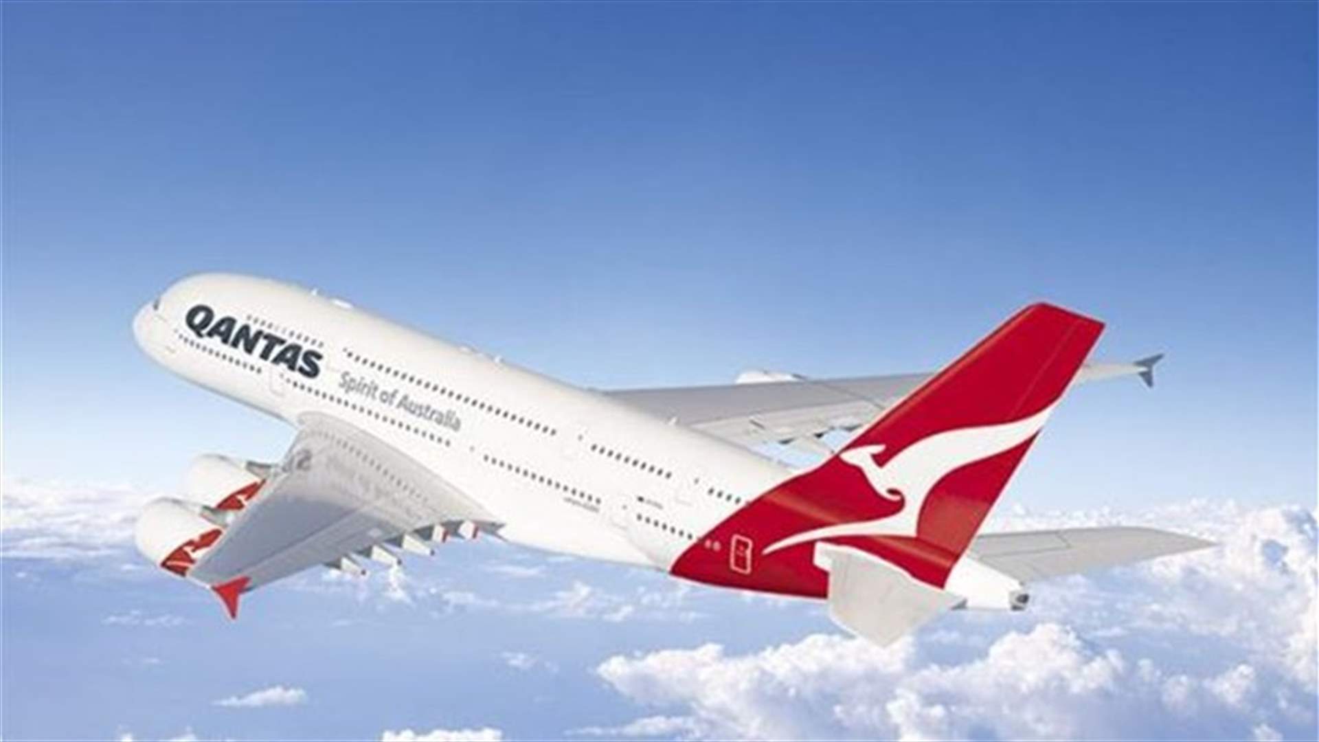 Snake grounds jet with 370 passengers in Sydney           