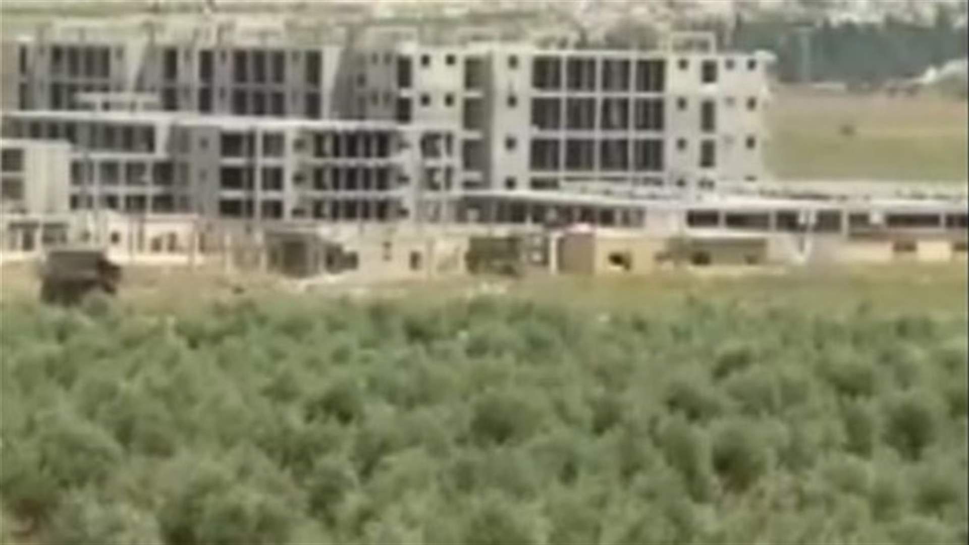 سجناء في سجن حلب يأكلون القطط للبقاء على قيد الحياة