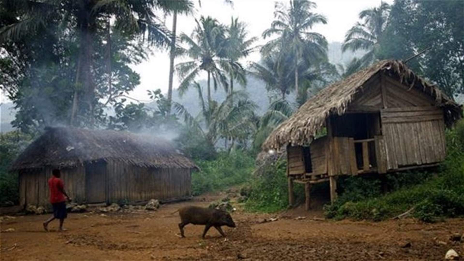Man kills daughter, eats her flesh in Papua New Guinea 