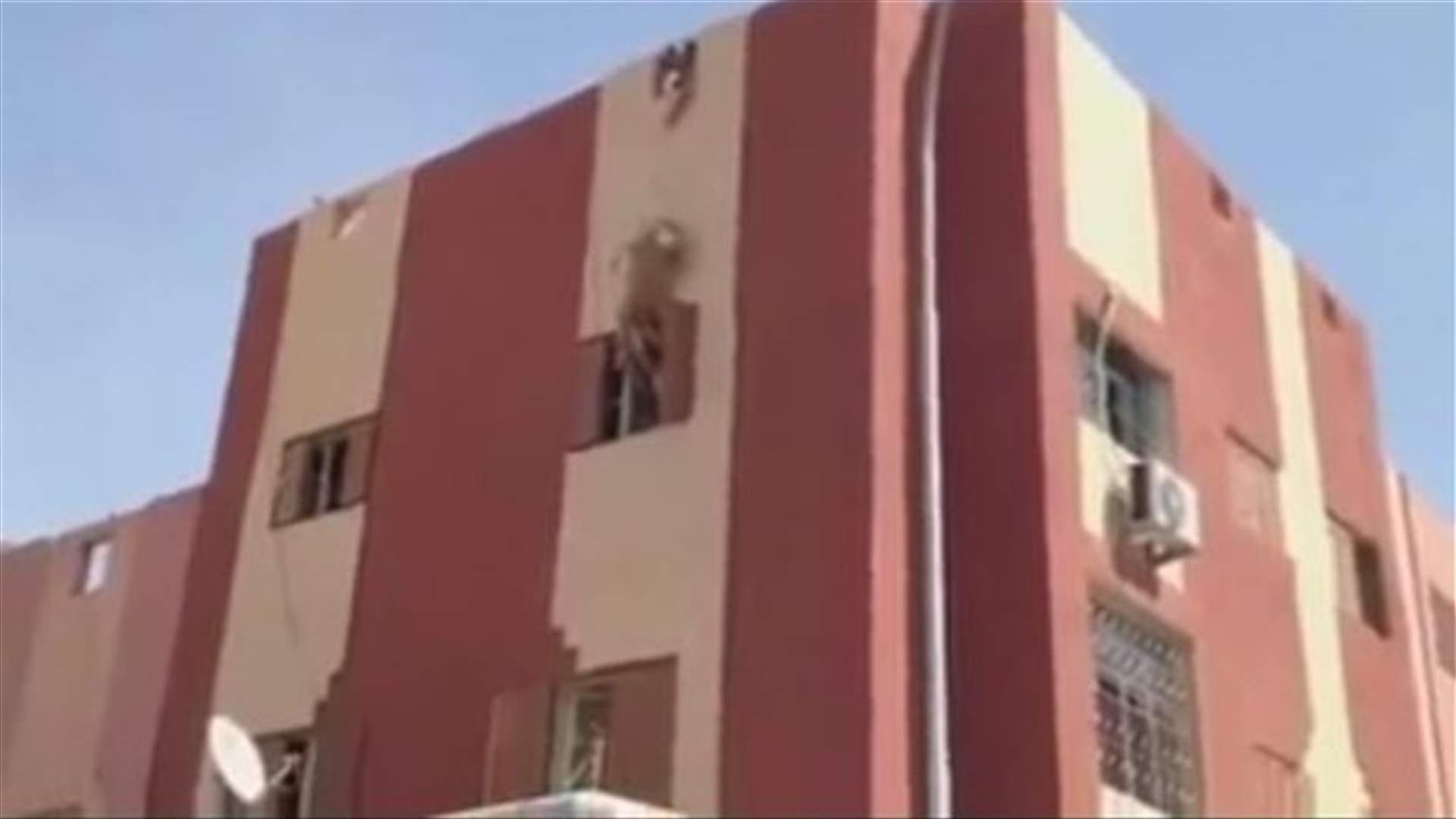 خواريف العيد تحاول ان تنجو بحياتها