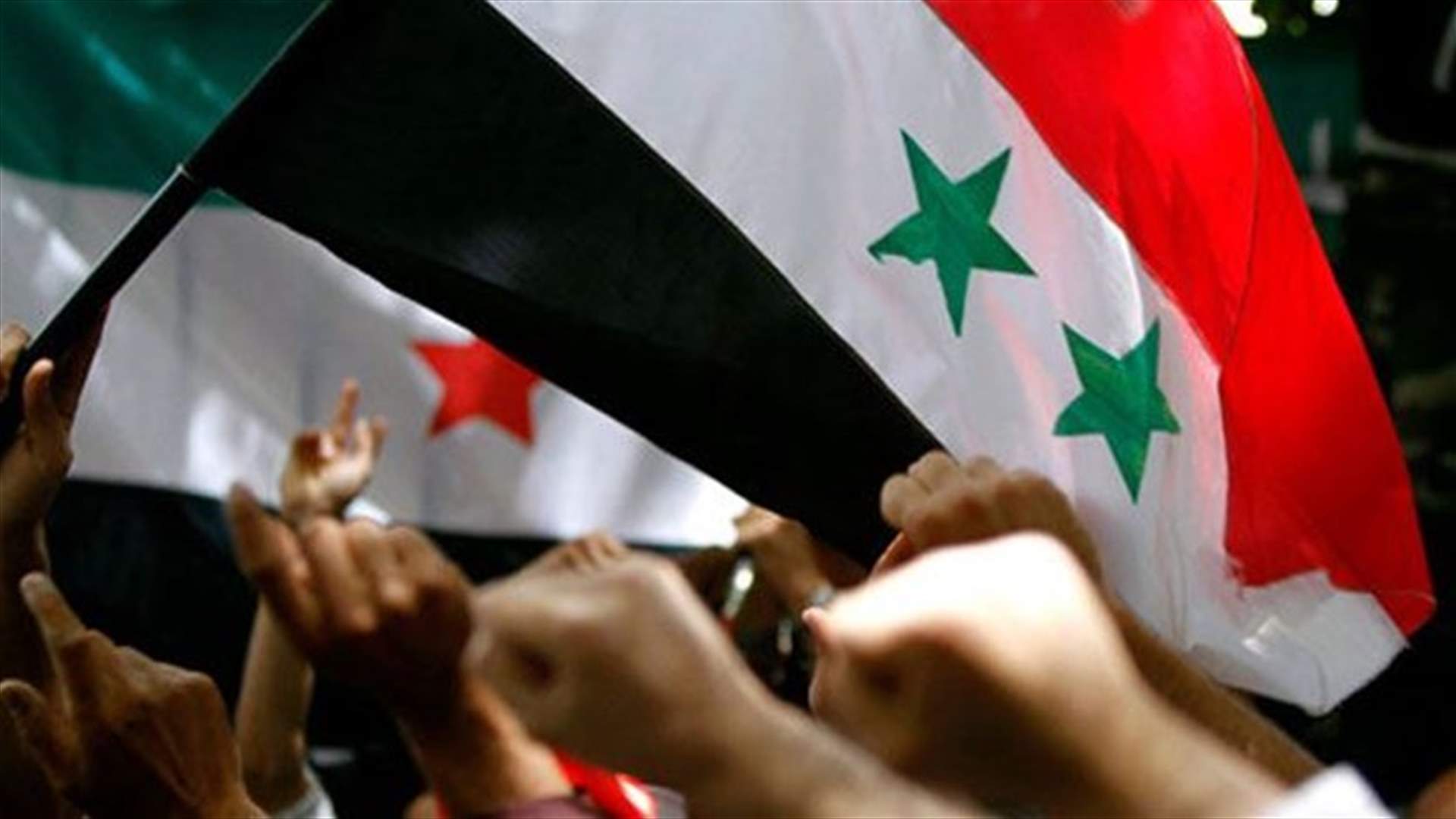 Amnesty urges Egypt to stop detaining Syrians