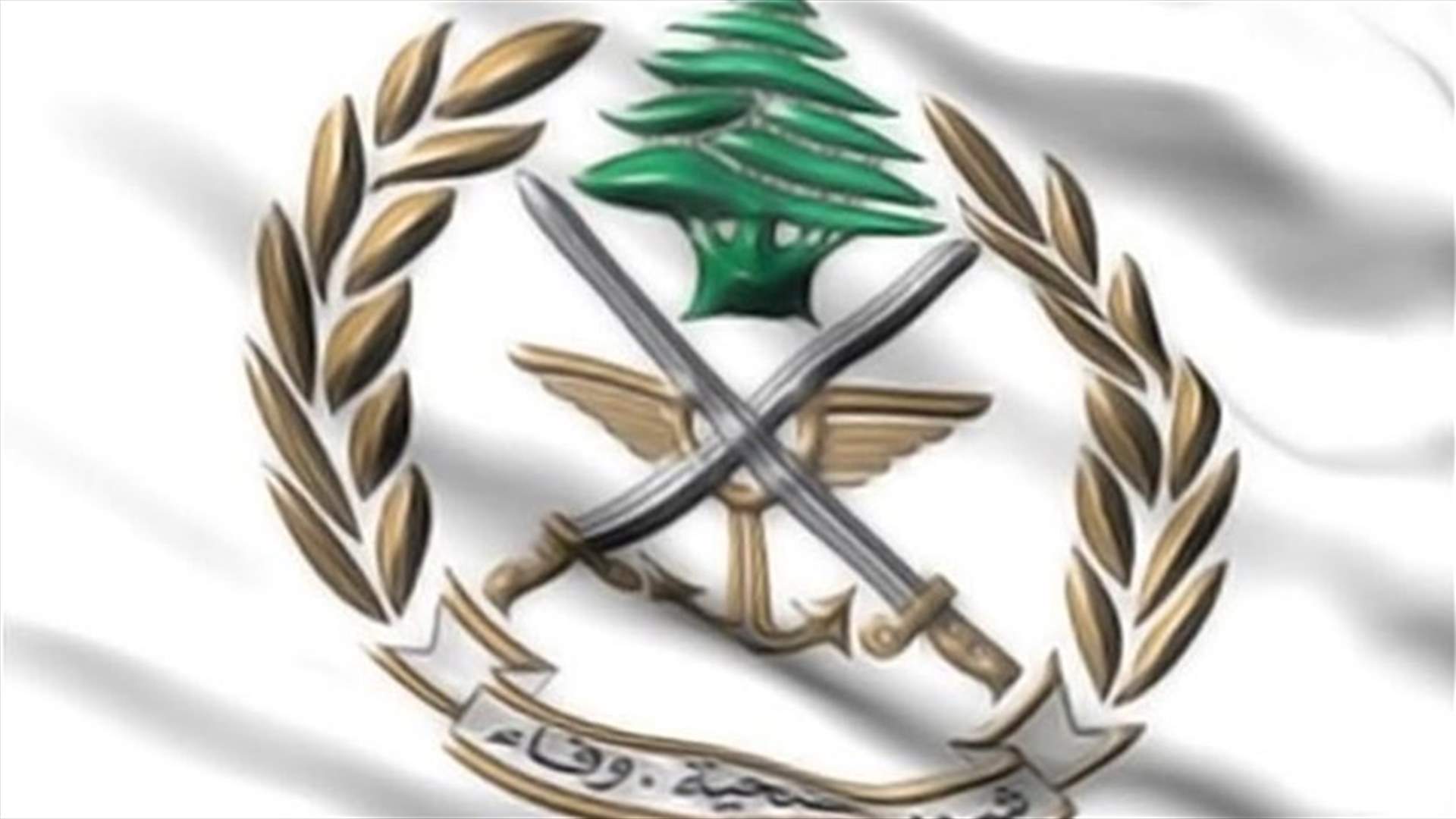 مناورة للجيش في راشيا الوادي وأخرى في رومية