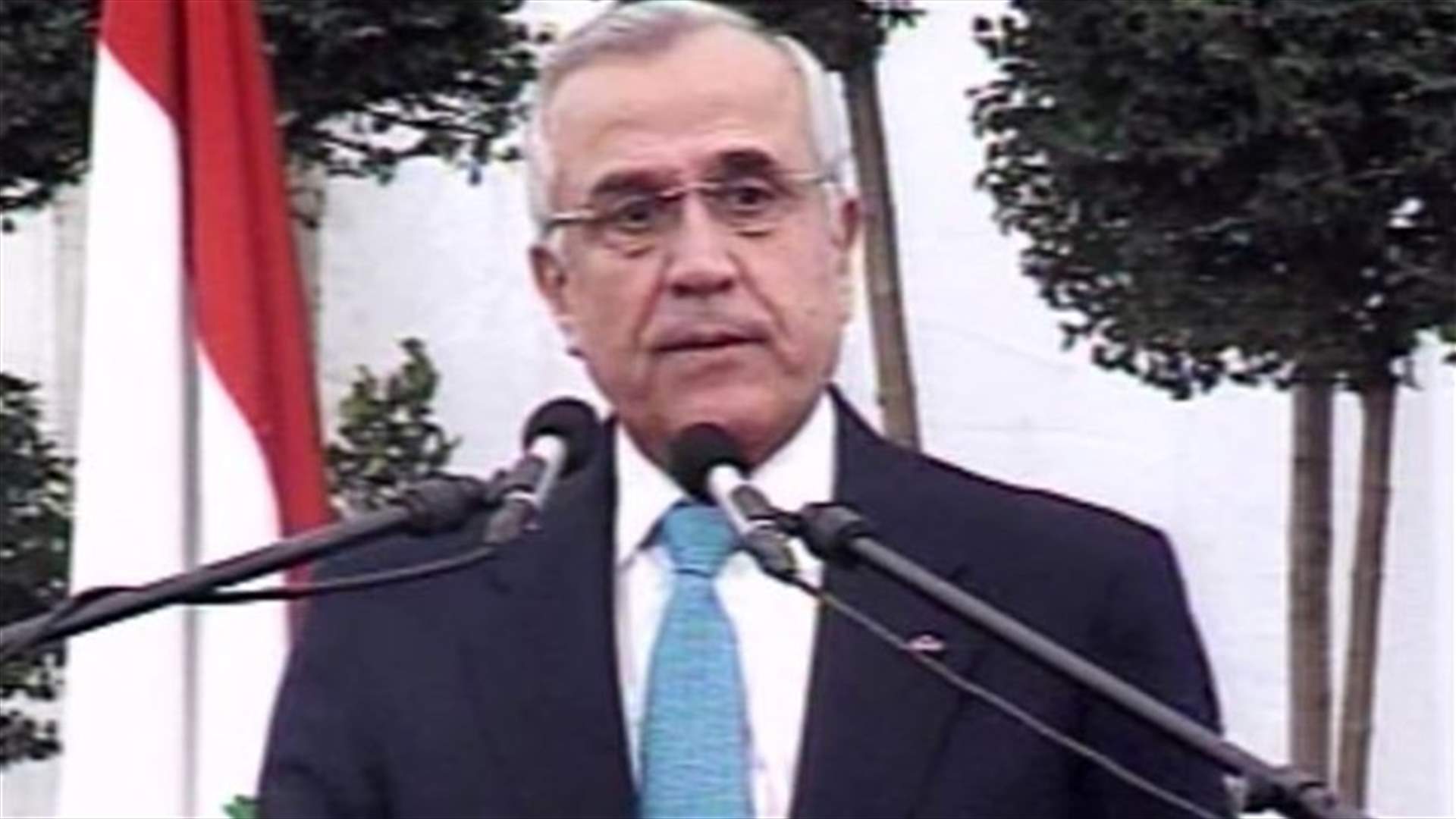 President Sleiman says institutional work guarantees Lebanon's unity