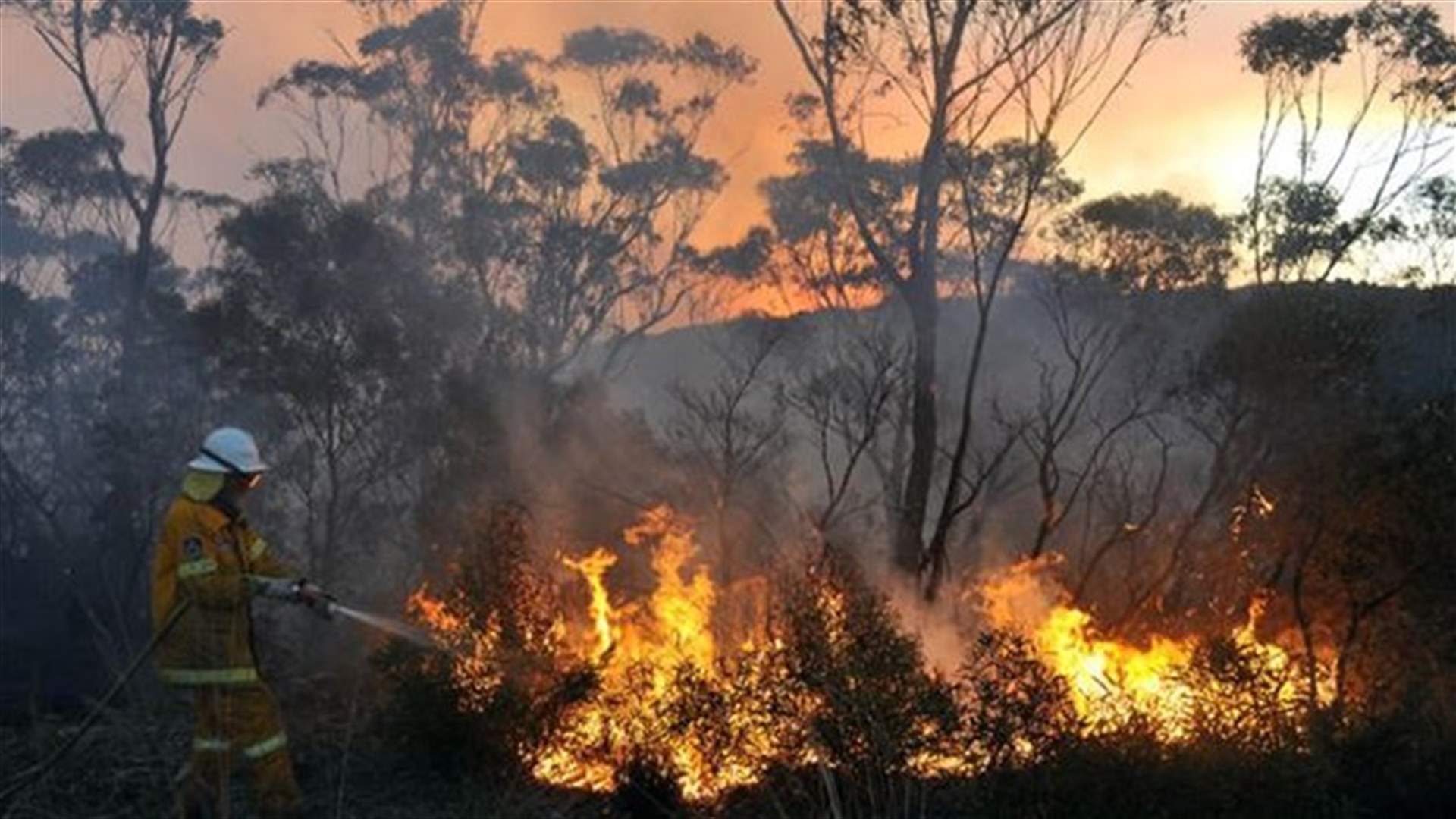 Military exercise sparked big Australian wildfire