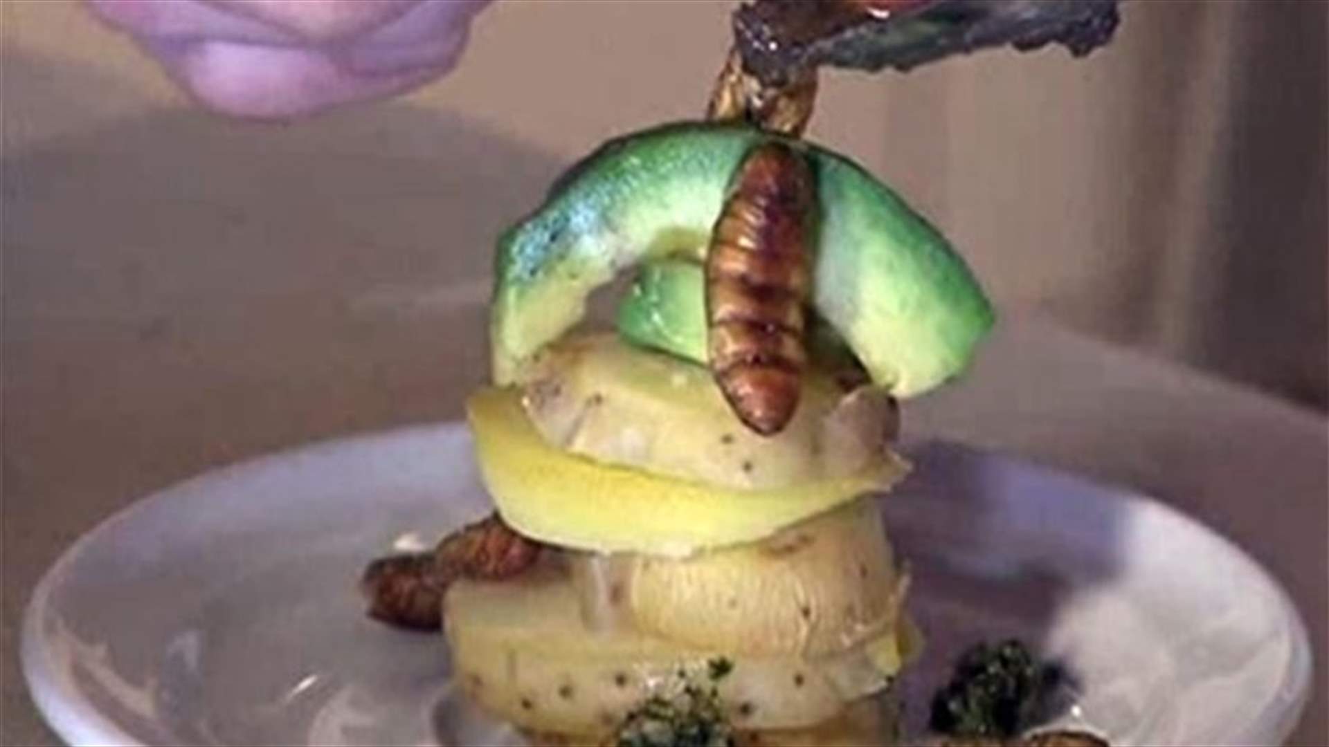 REPORT: Scorpions, grasshoppers, and beetles served at trendy Parisian bar