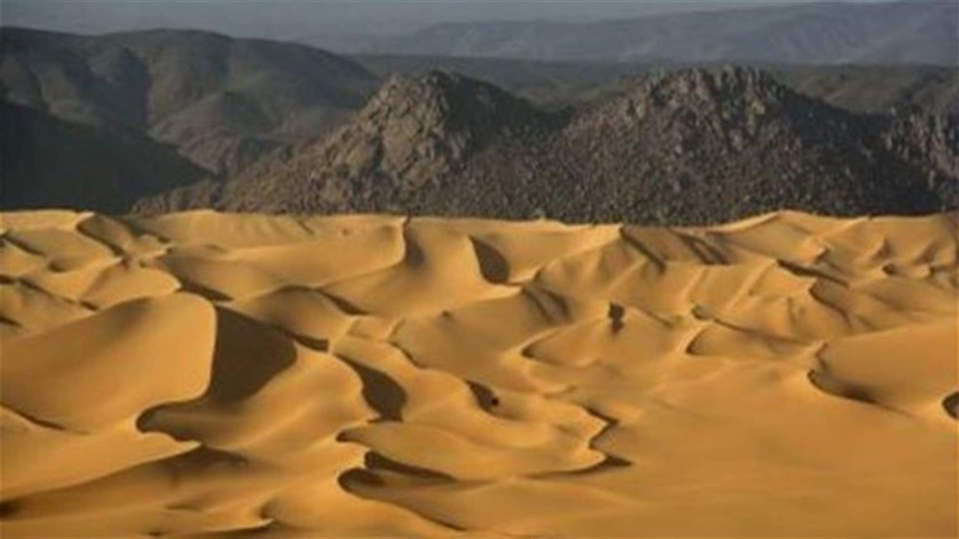 Niger says 92 migrants found dead in Sahara after failed crossing