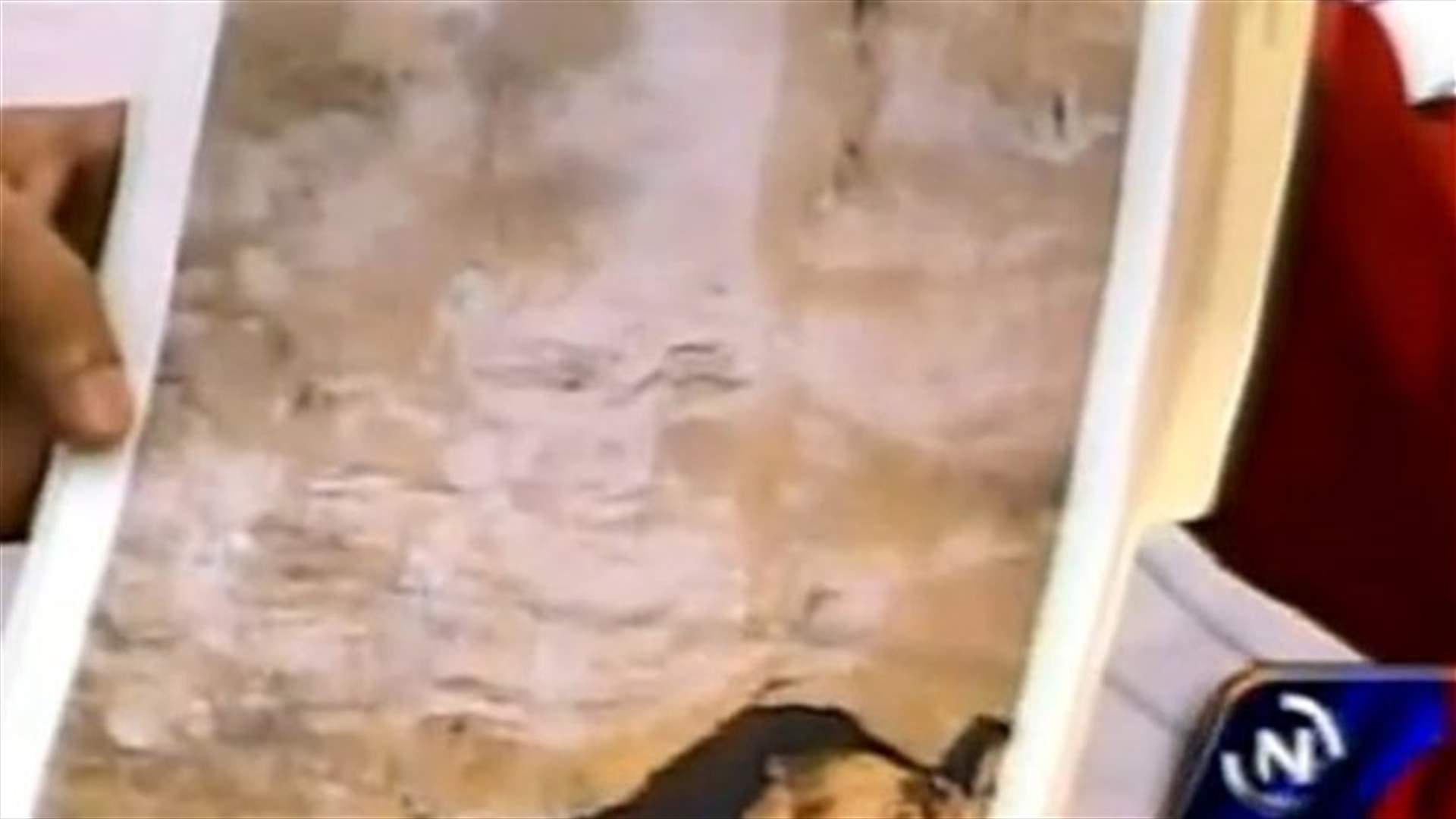 Venezuelan leader says construction workers see Chavez apparition