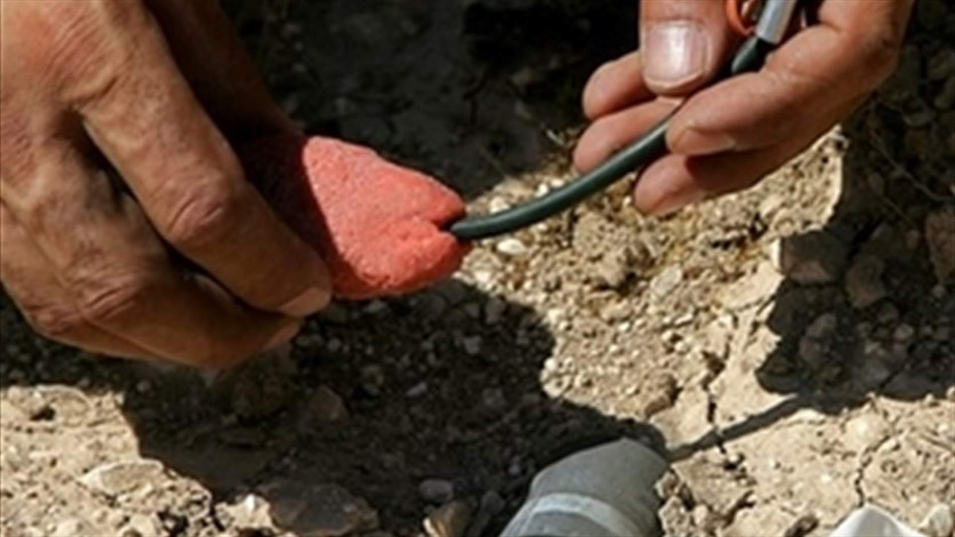 Lebanese Army defused a bomb in Palestinian camp