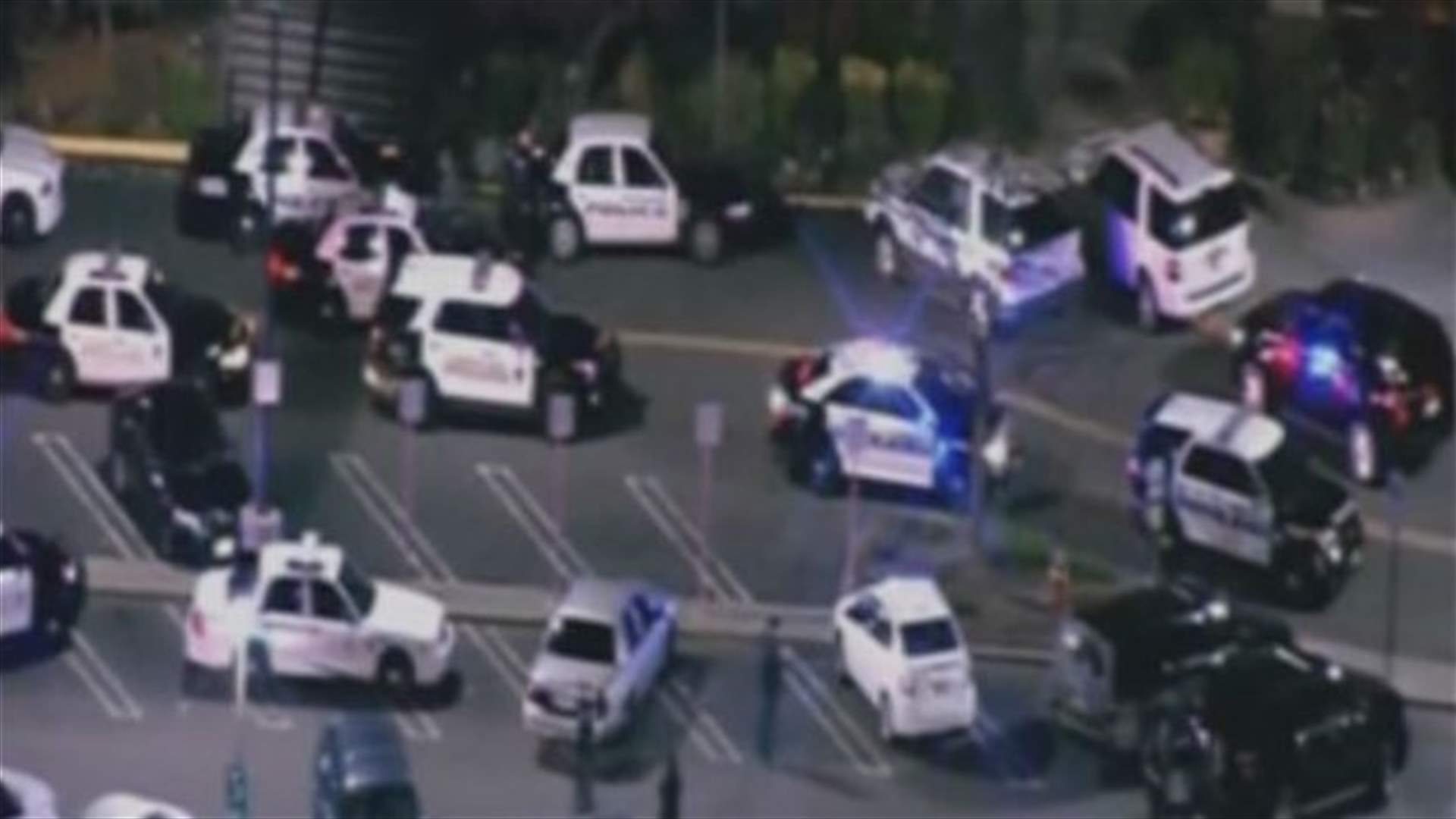 Gunman kills himself after opening fire in New Jersey mall      