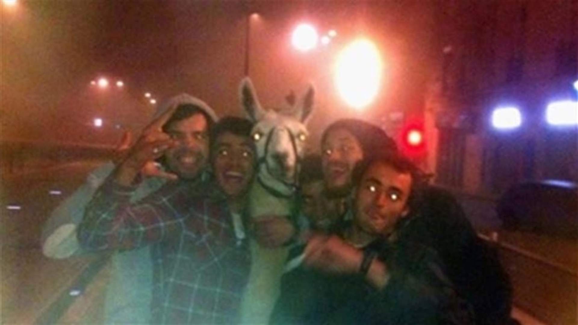 French teenagers abduct a circus llama; take him on a tram ride in Bordeaux