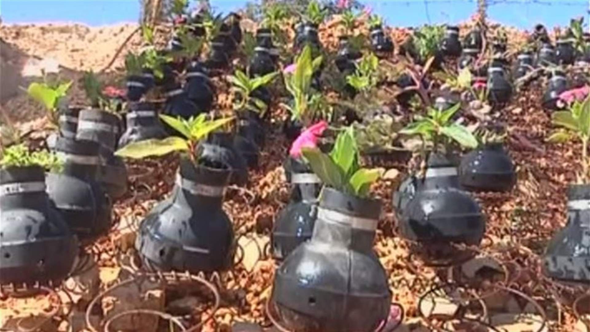 REPORT: Palestinian activists turn bombs into flowers