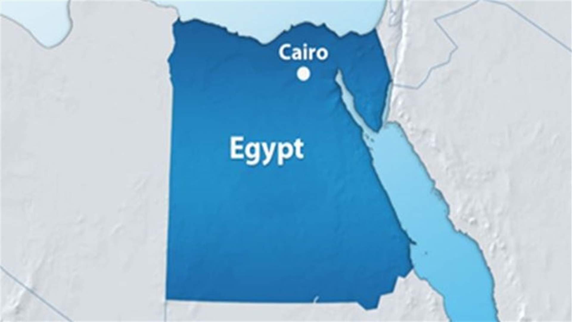 Egypt to hold parliamentary vote in Feb/March - foreign minister