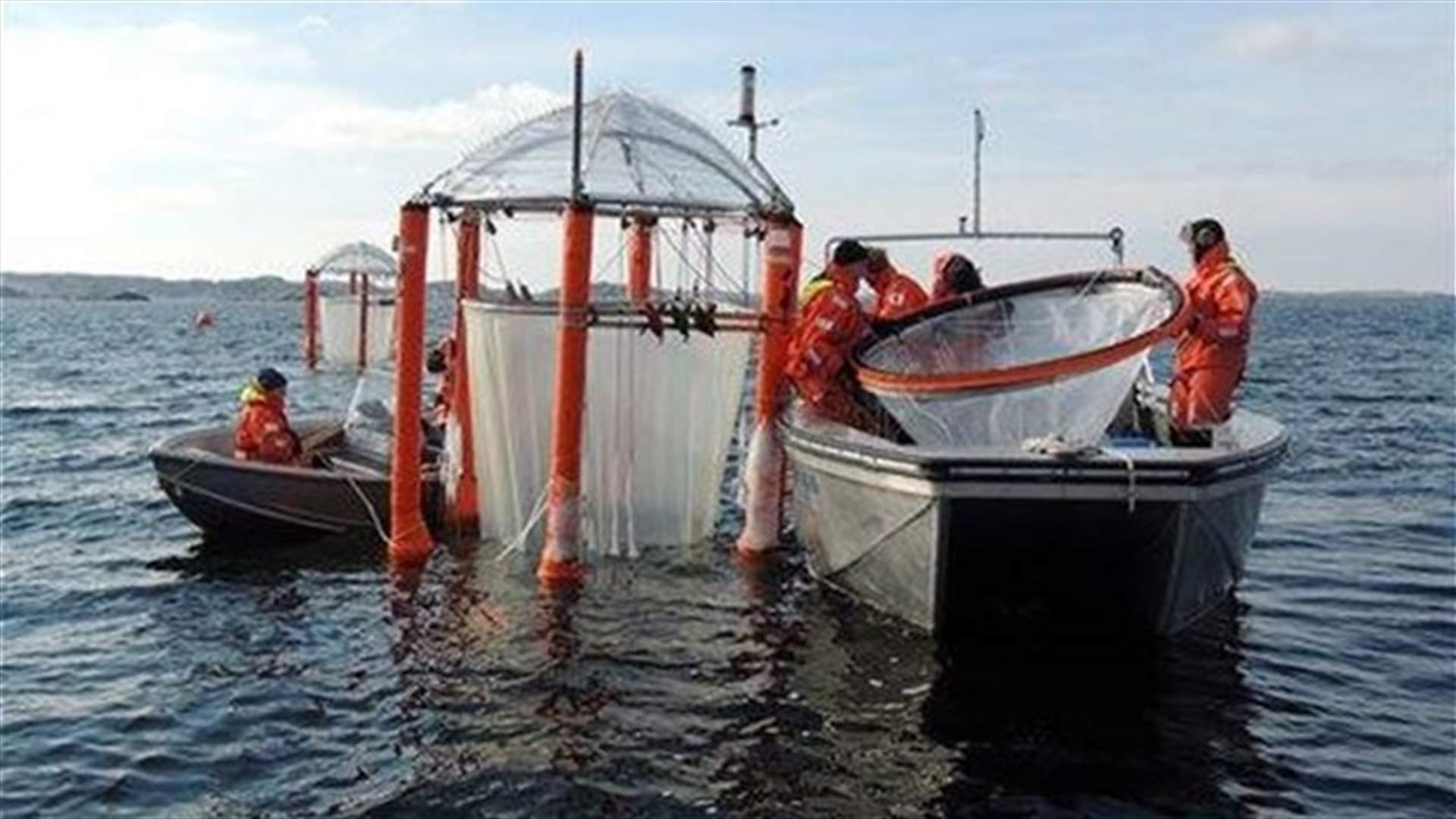 Scientists warn of hot, sour, breathless oceans
