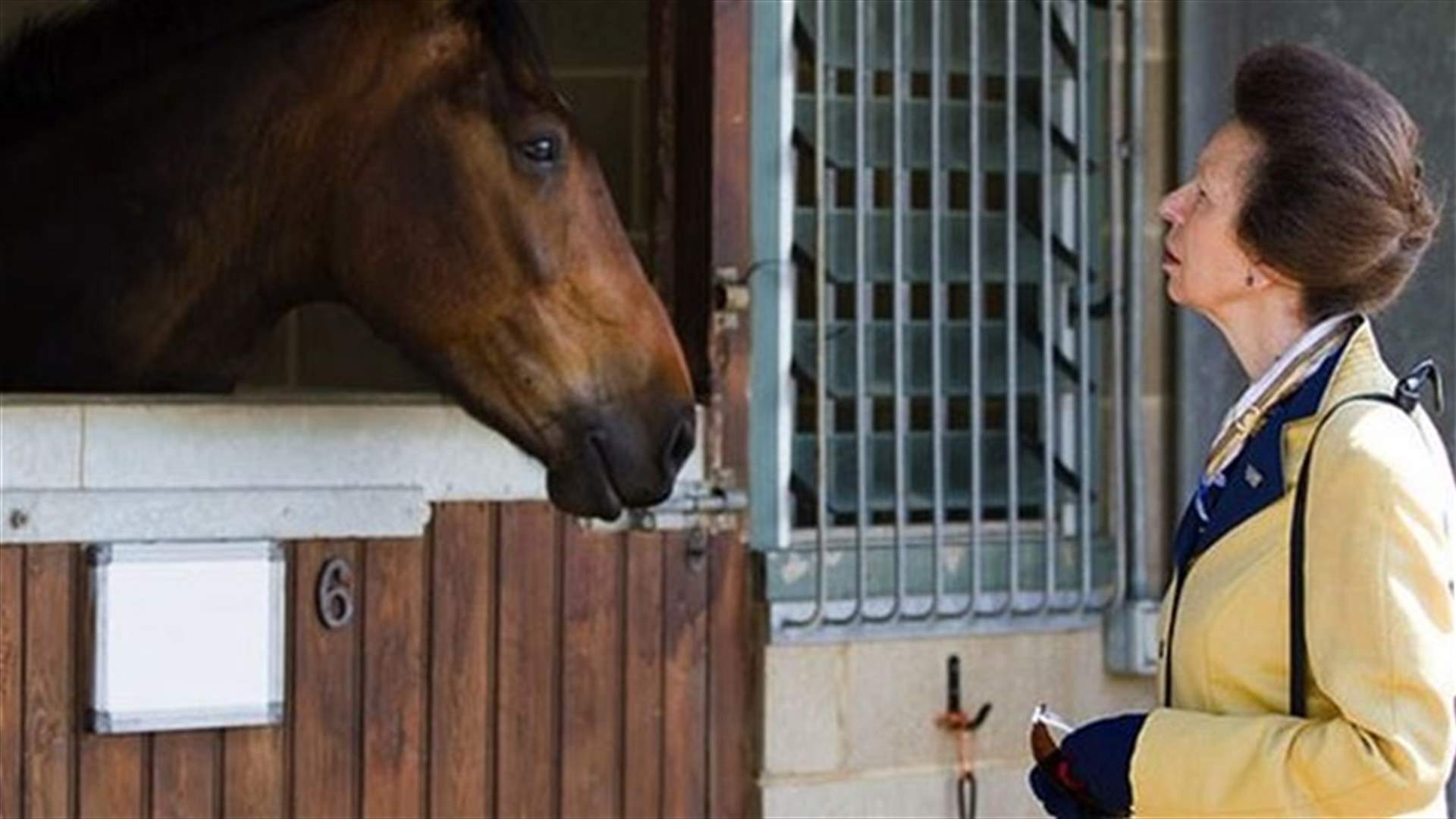 Queen's daughter wonders about eating horse meat
