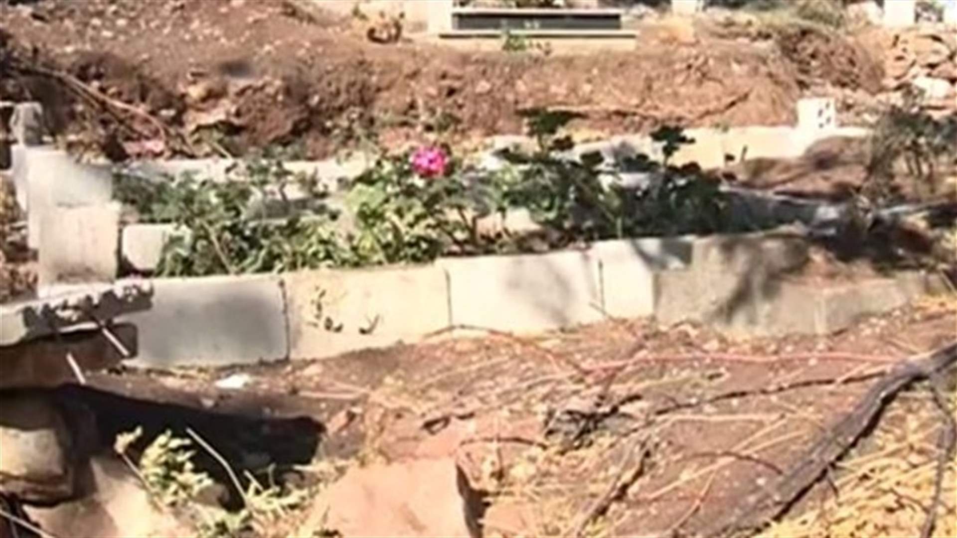 الصفوف الدراسية تجاور مقابر بلدة قبعيت ومطالبات بتغيير الموقع