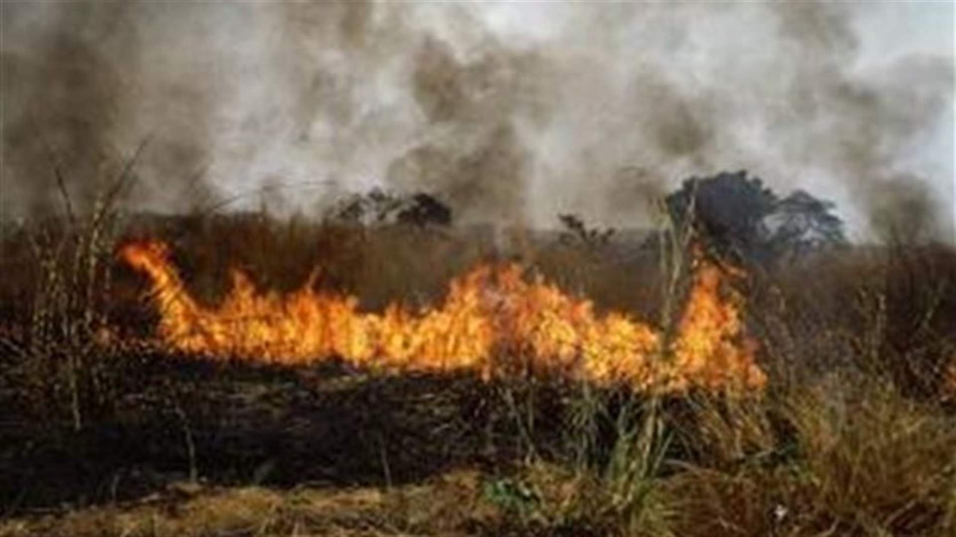 حريق في حلبا والدفاع المدني يعمل على اخماده