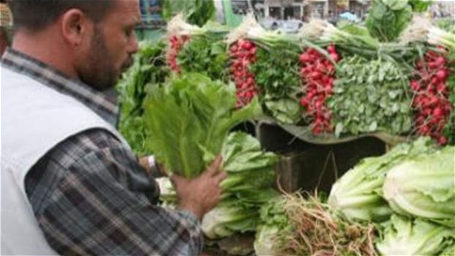 ارتفاع مستوى تضخم الاسعار 1% بين ت1 وايلول 2013
