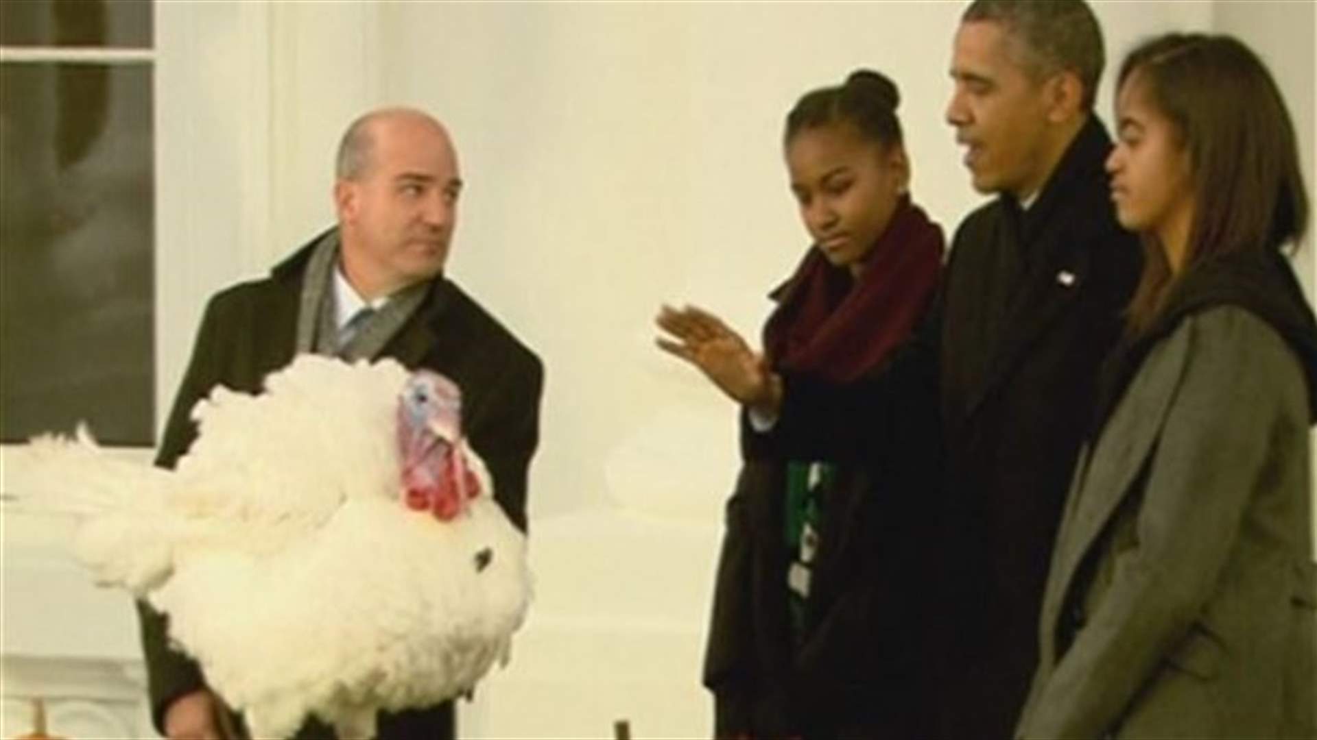REPORT: Turkeys avoid Thanksgiving fate with US presidential pardon