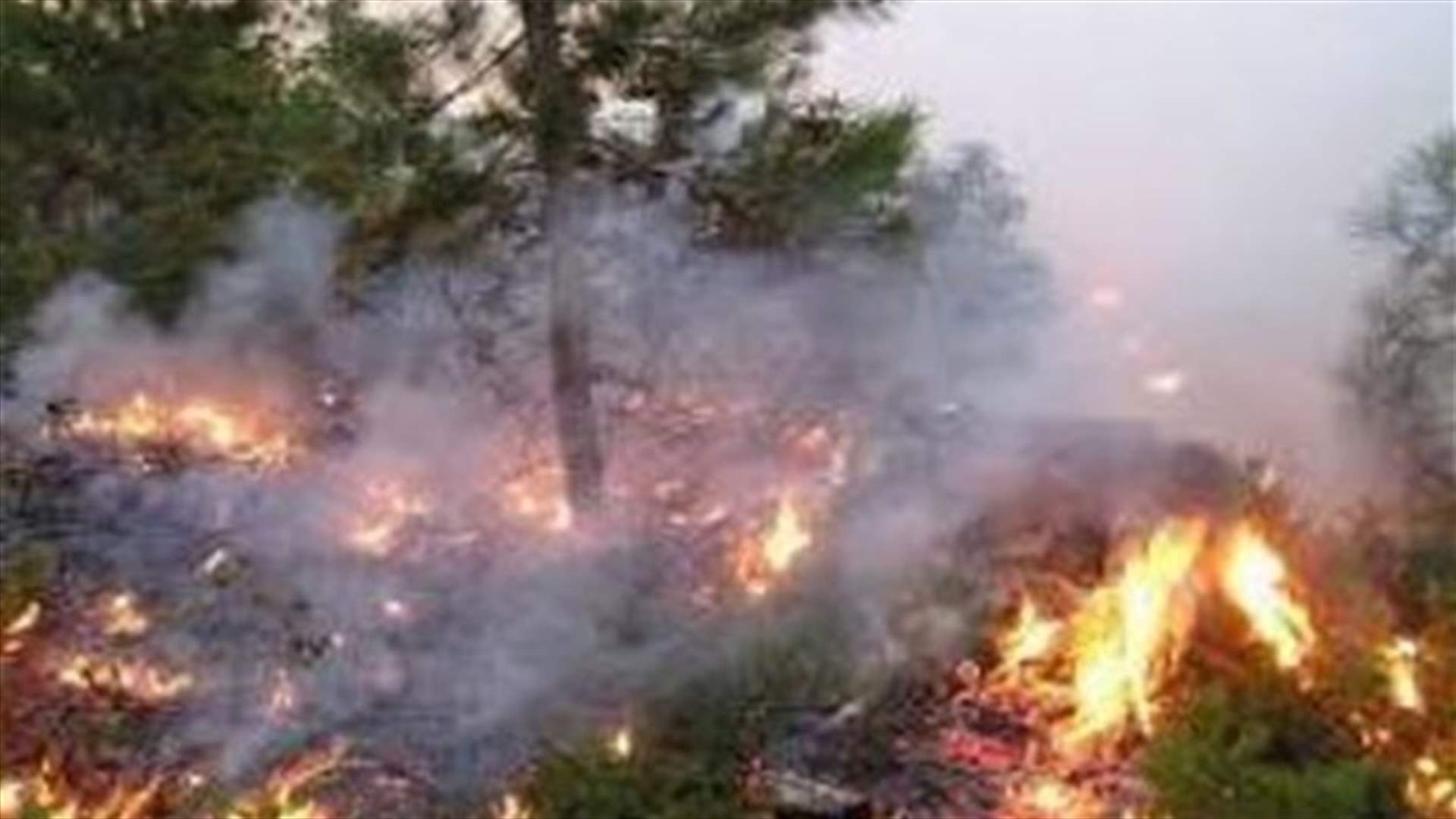 Wildfires extinguished after eight days
