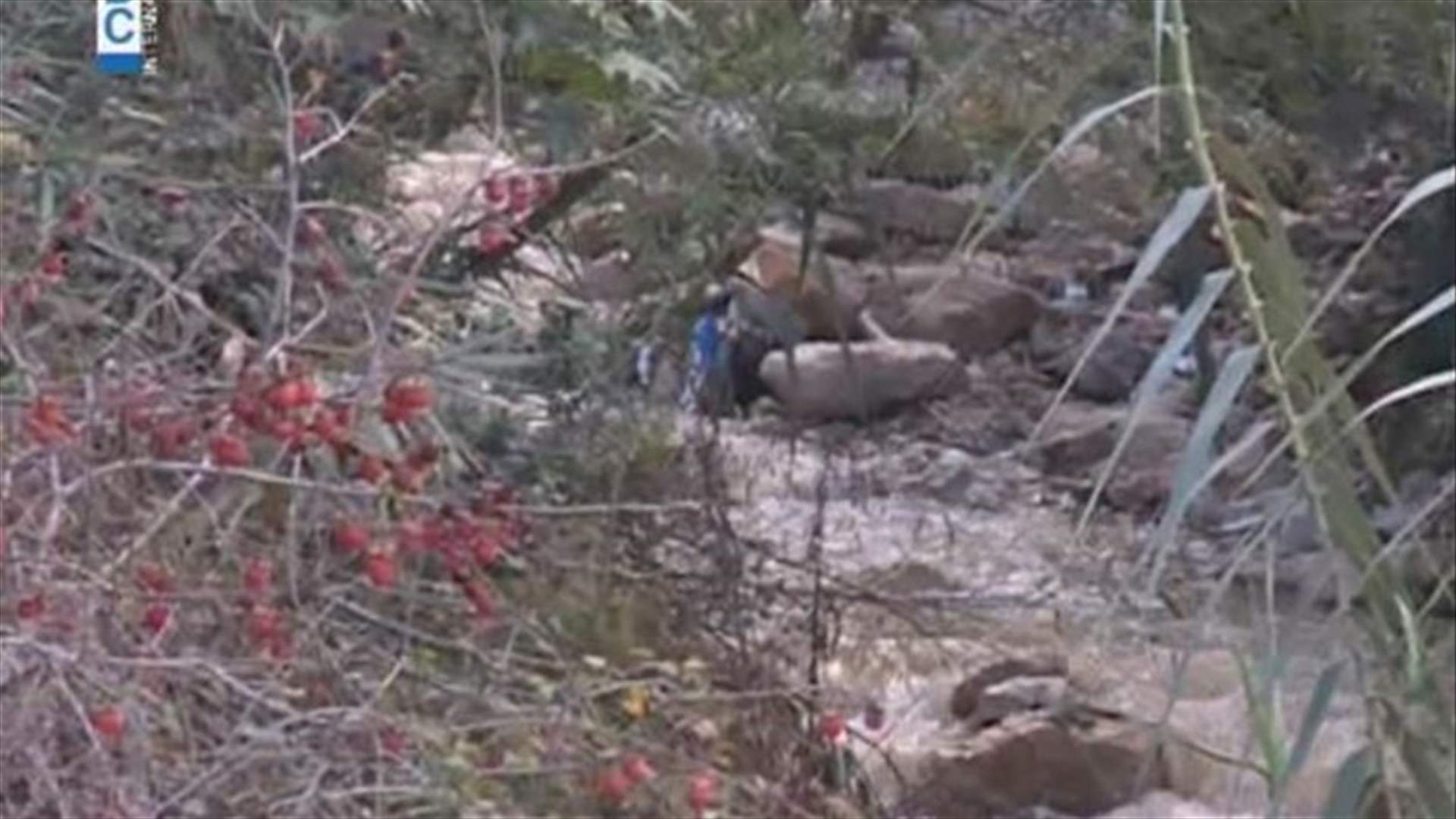 ما هي قصة نهر الغدير وطوفانه سنوياً ؟