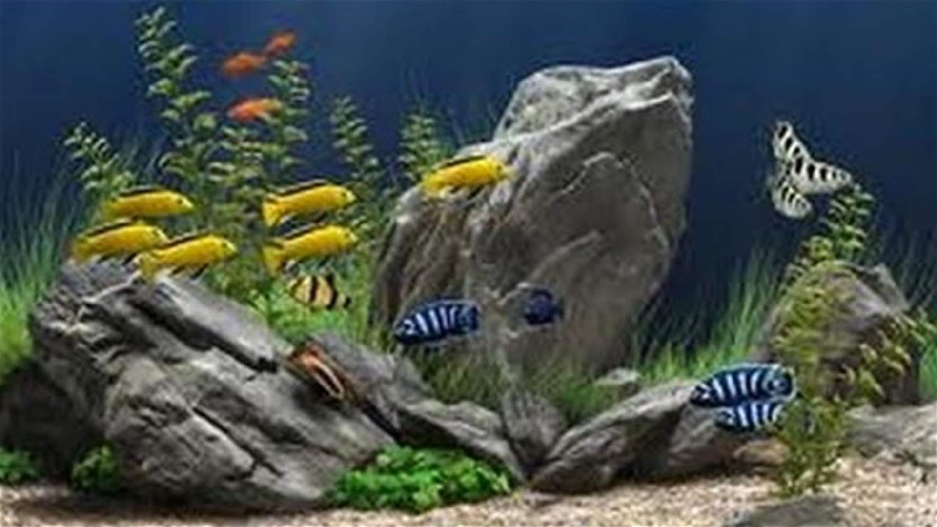 Ancient farming seen curbing extinctions of animals, plants