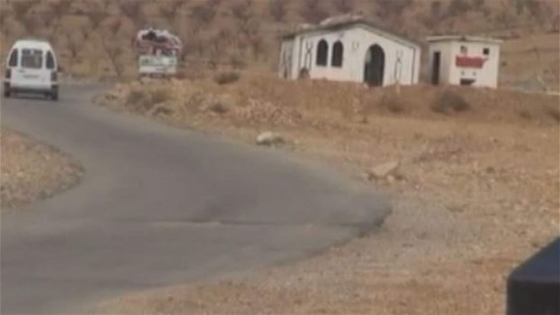 القوات السورية تسيطر بشكل شبه كامل على بلدة النبك