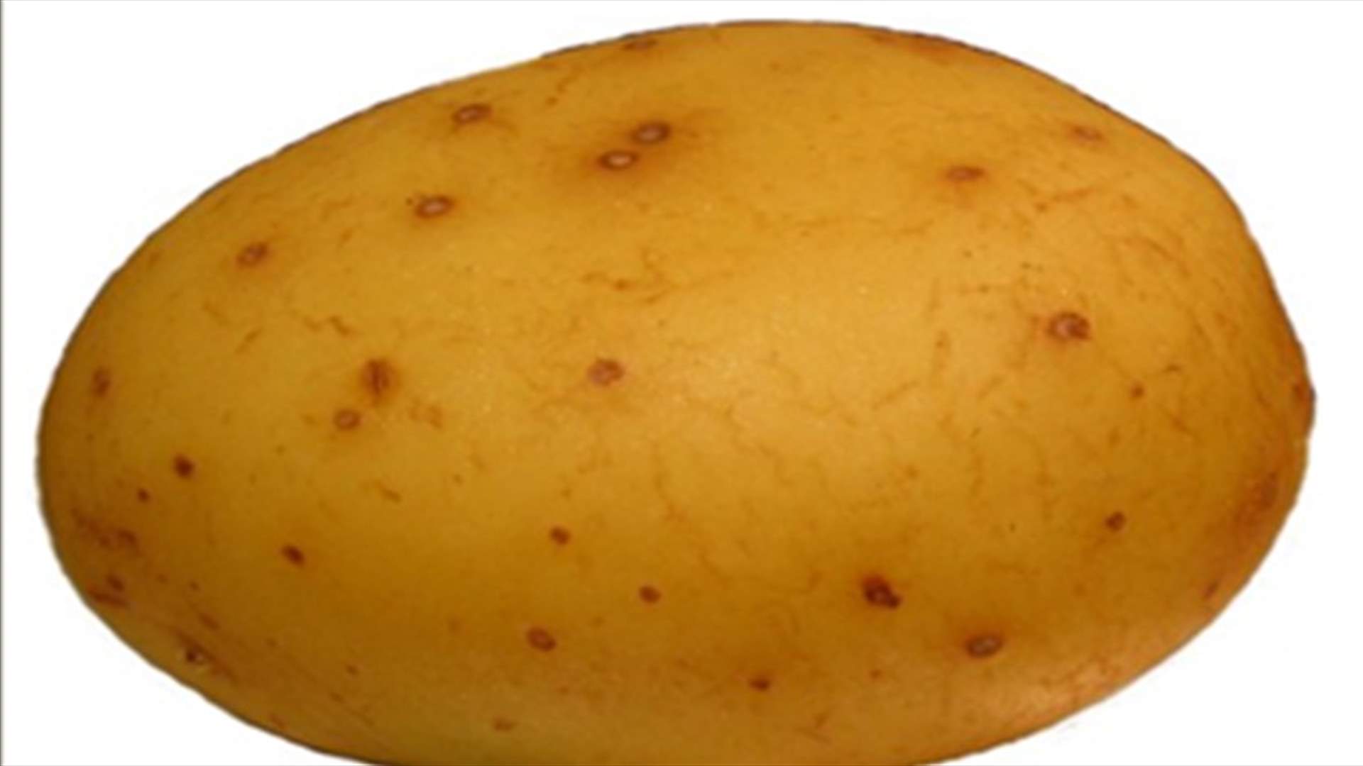Lebanese farmer grows giant potatoes, 10 kg each 