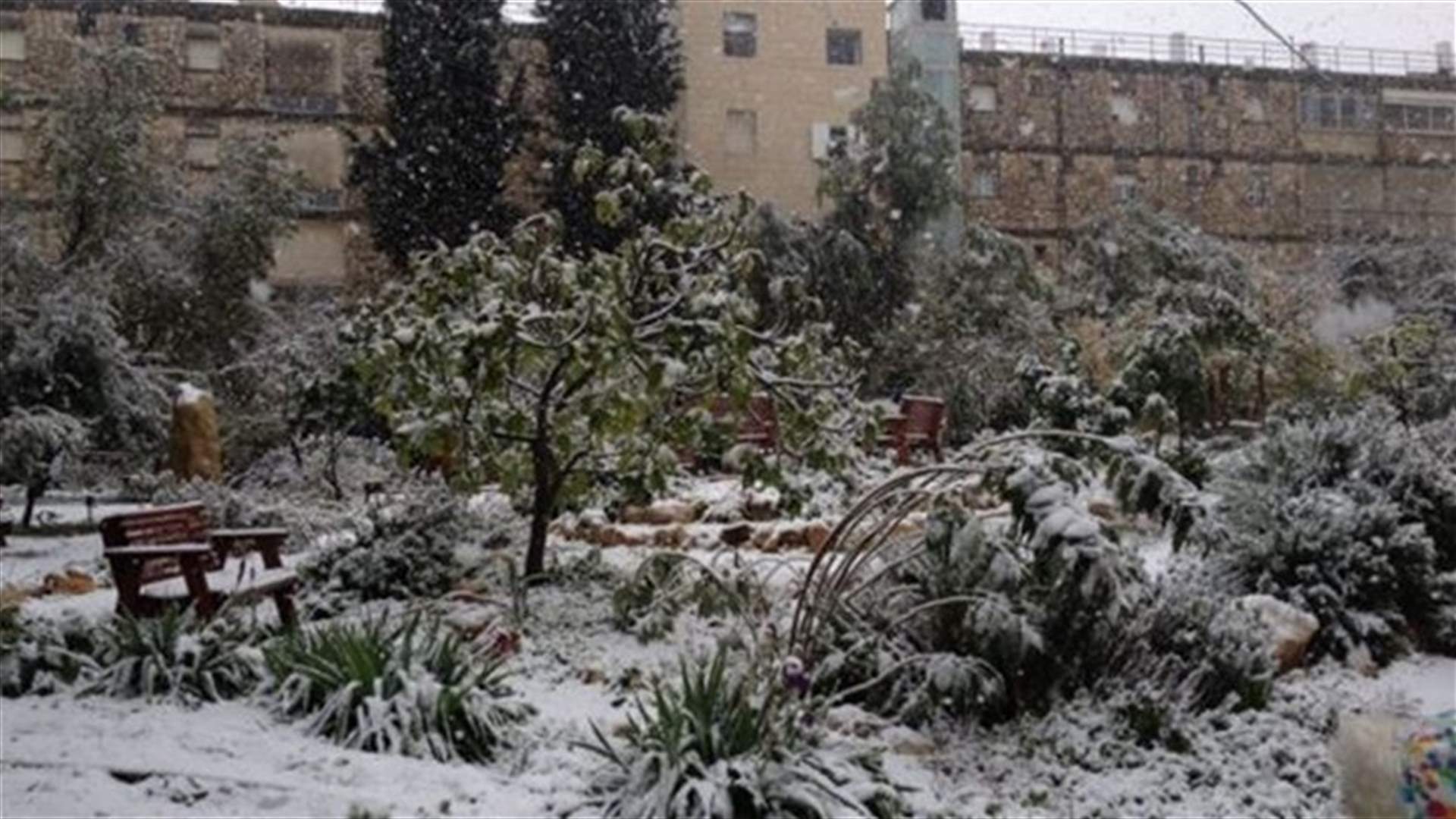 "ألكسا" تضرب ايضا الأردن وفلسطين وسوريا وتركيا