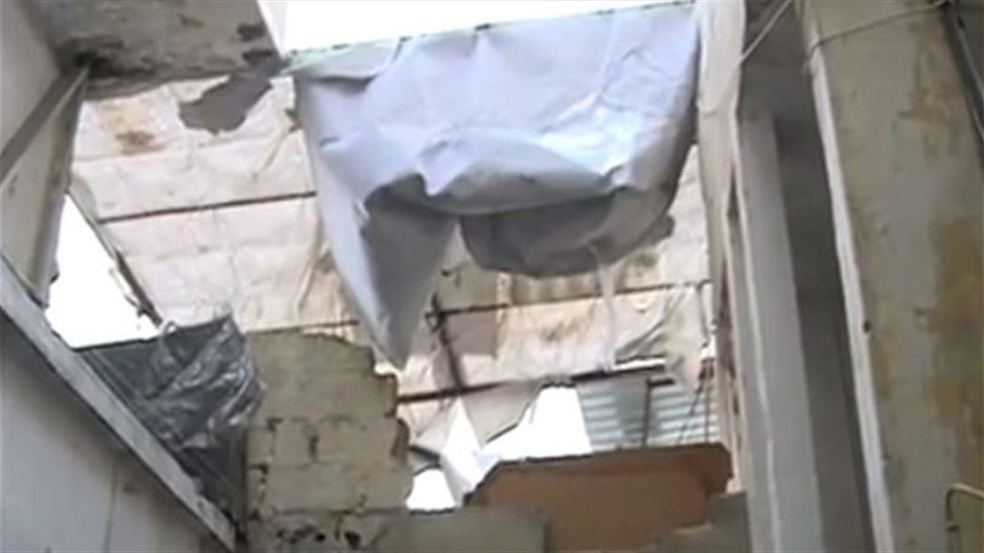 برد أليكسا يفتك بسكان النبعة 