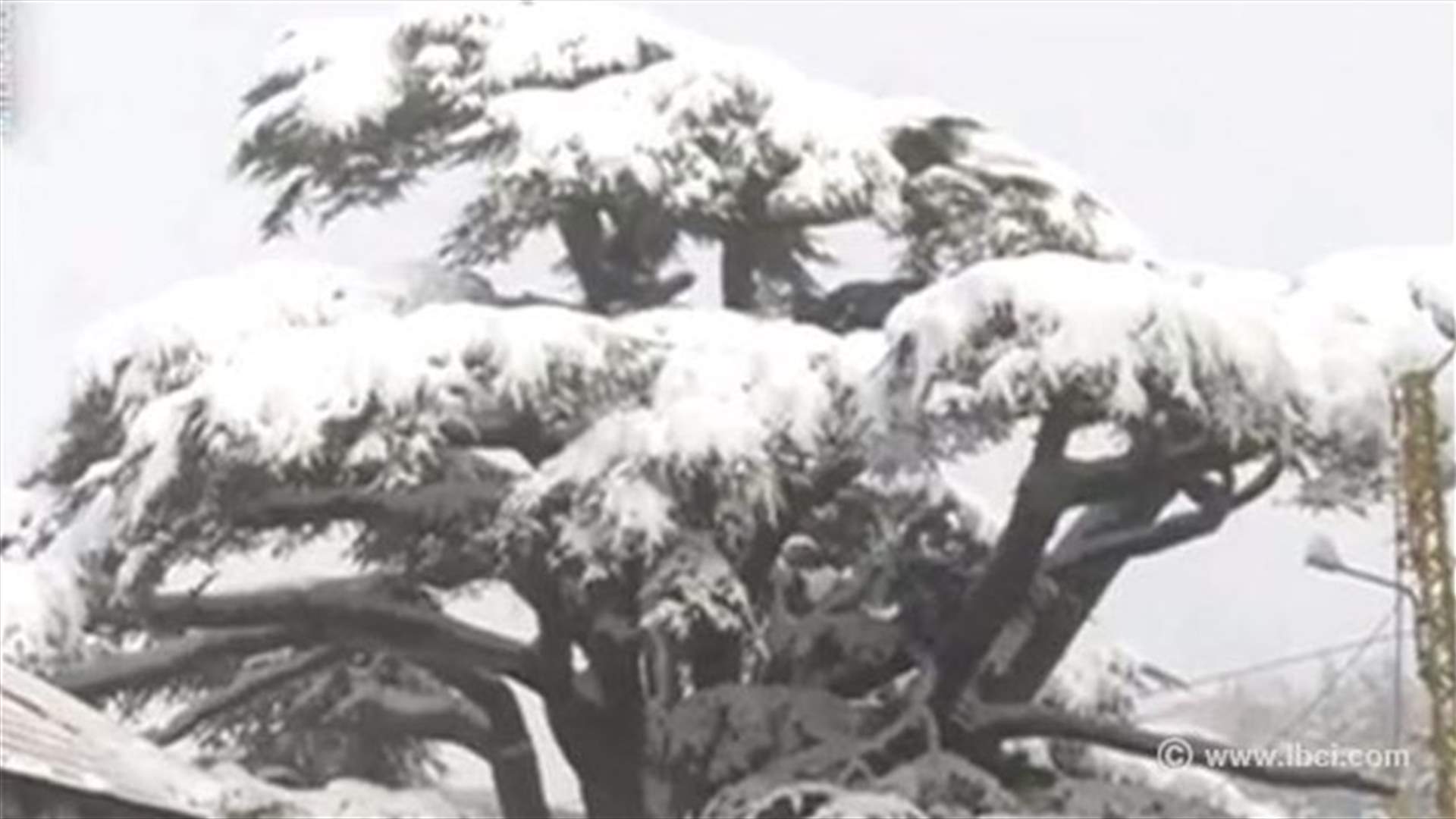 REPORT: Will ski resorts open anytime soon?