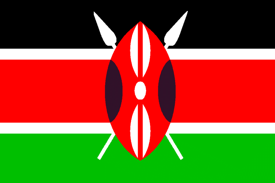 Suspected grenade attack on Kenyan bus kills four-police