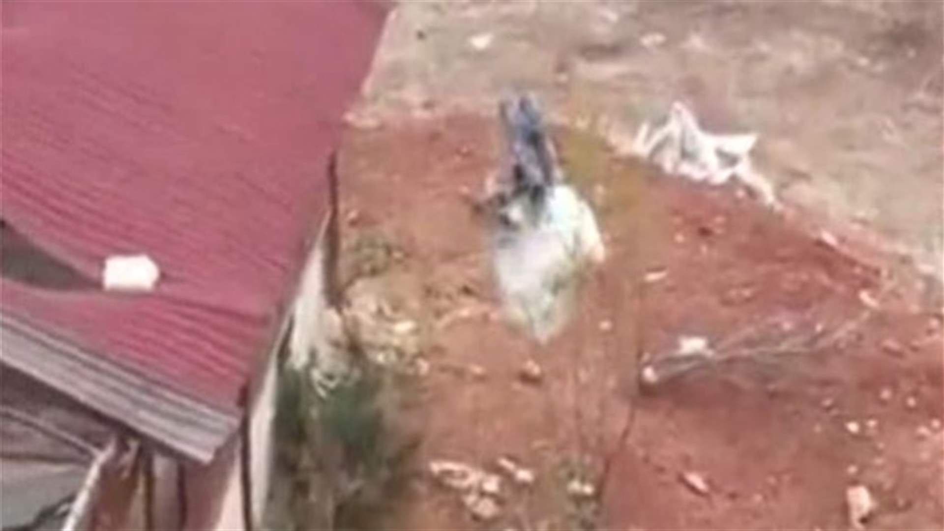  بالفيديو..اطلاق صاروخ بامضاء"اسرى سجن رومية" باتجاه ادلب            
