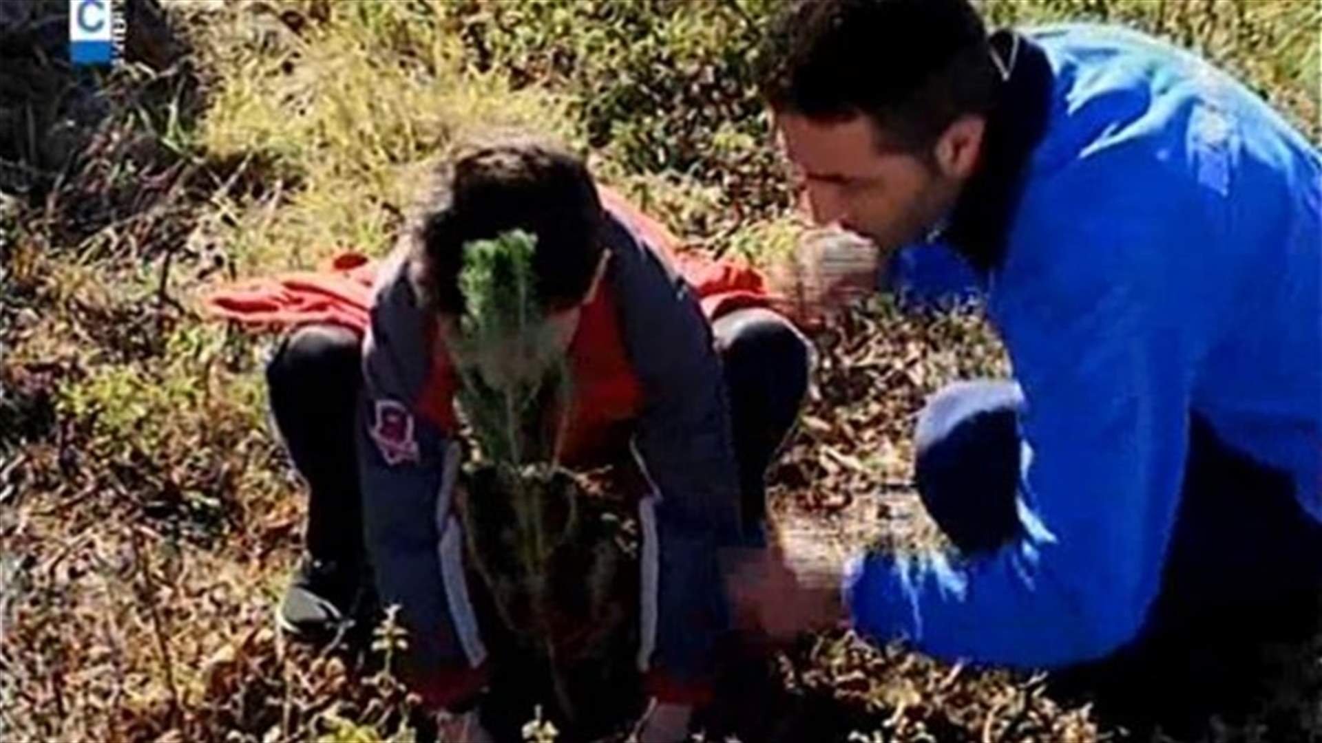 REPORT: Tree planting campaign to preserve Lebanon’s green spaces