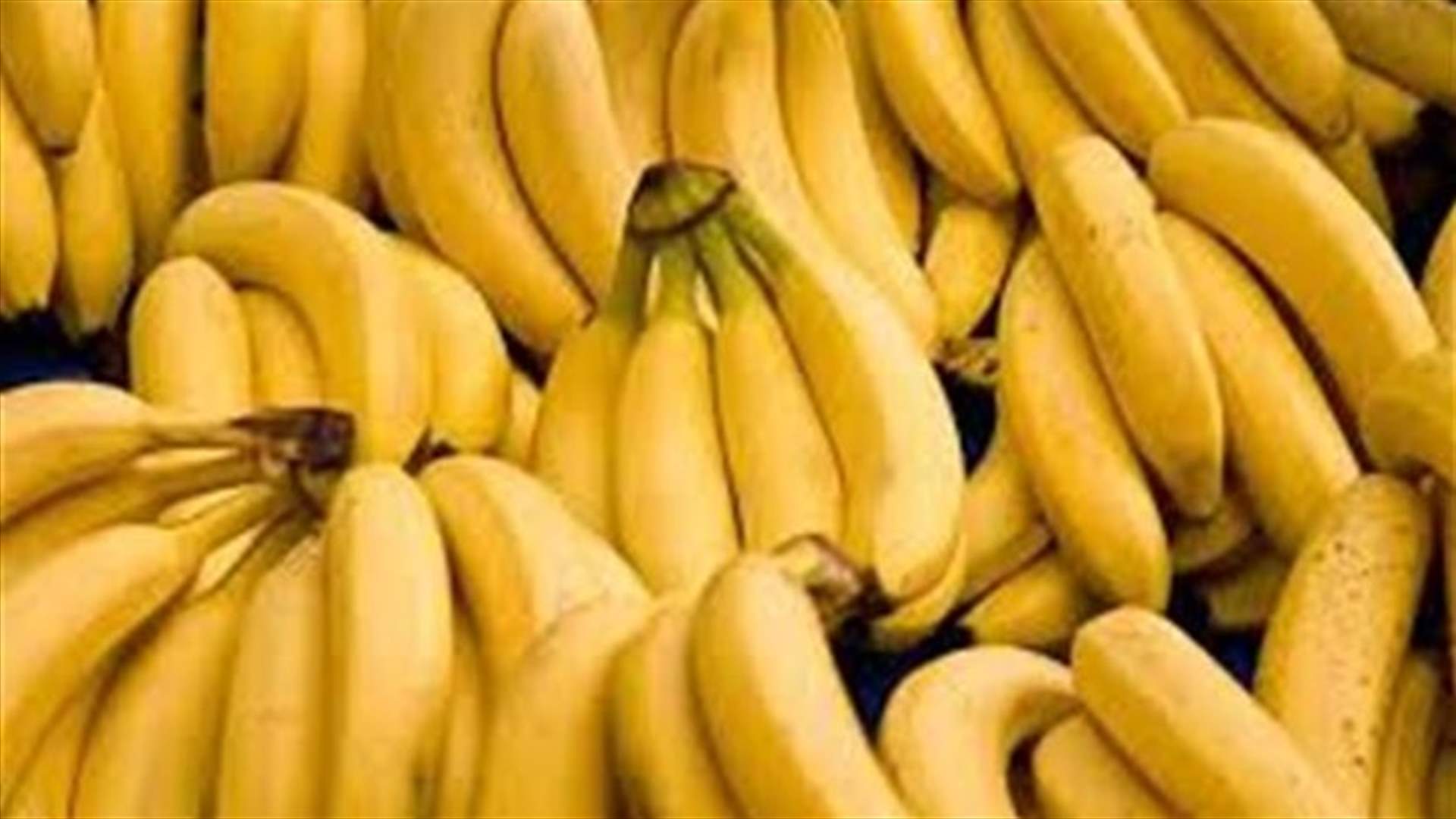الشرطة أطعمت لصاً 96 موزة بعد ابتلاعه سلسلة من الذهب