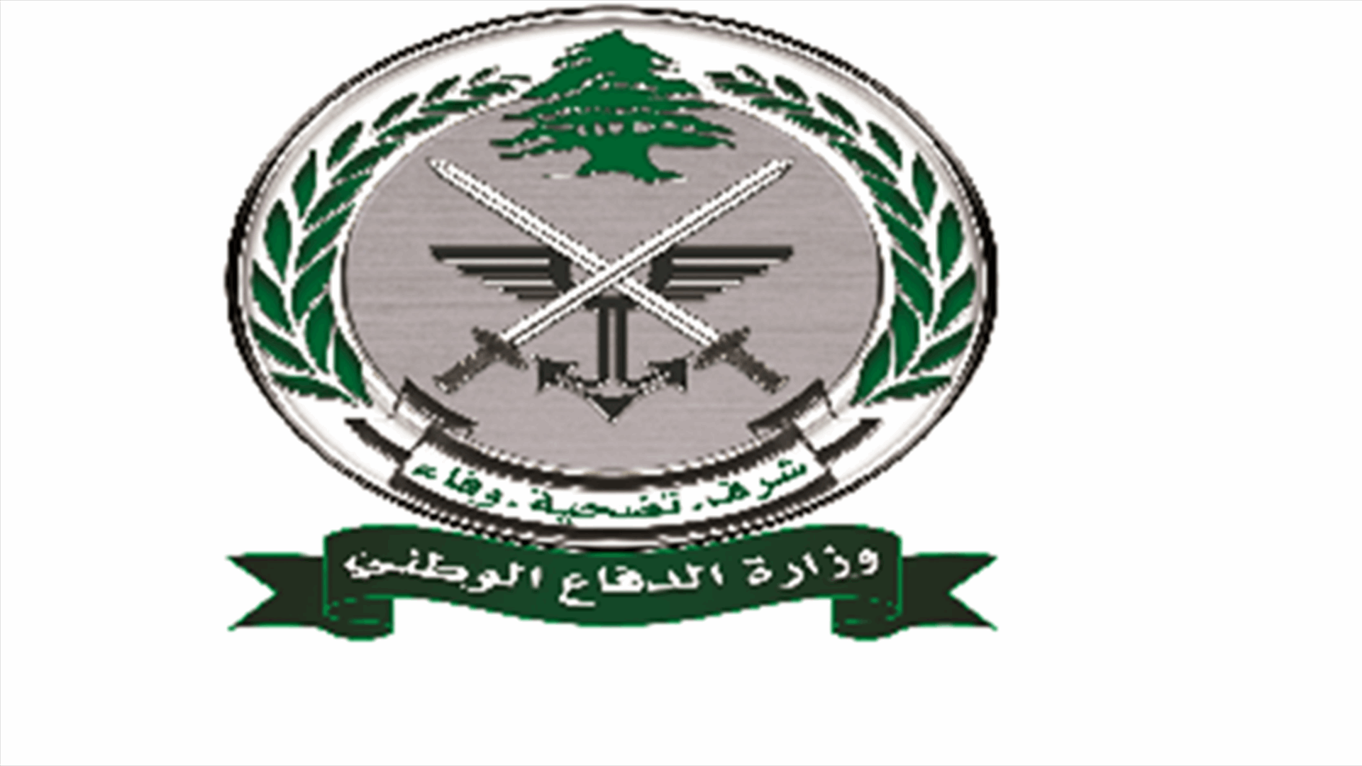 قرار بتمديد صلاحية تراخيص حمل الاسلحة الصادرة عن العام 2013