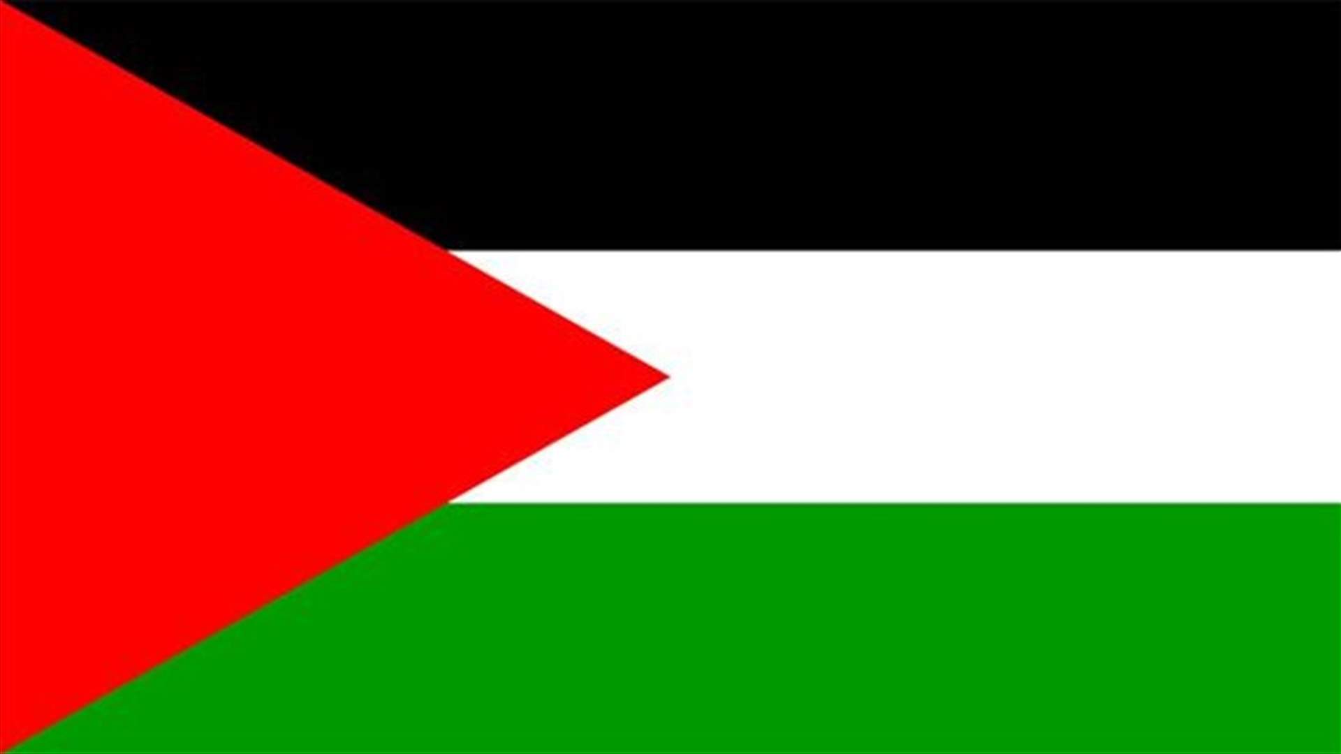 Palestinian, 85, dies after clashes with Israelis -eyewitnesses