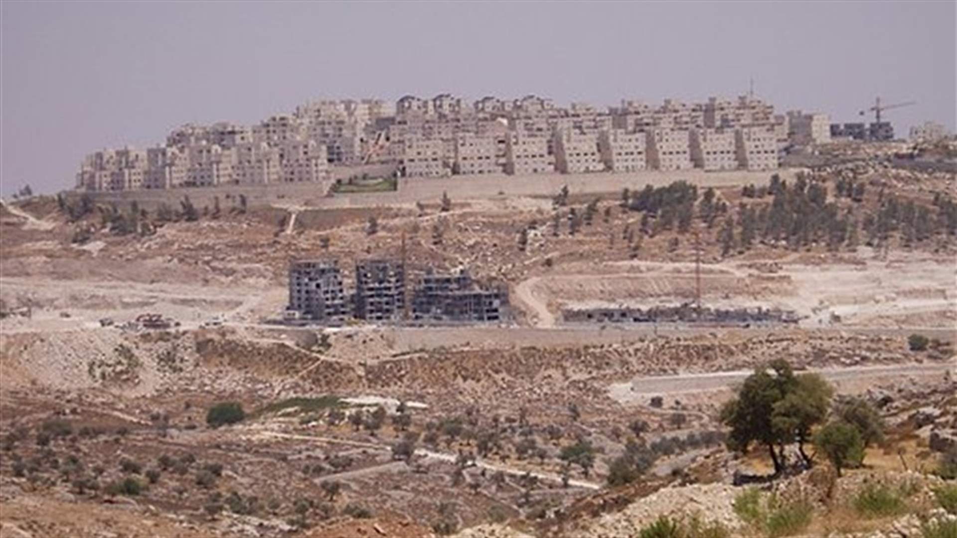 Israel unveils tenders for 1,028 new settlement units 