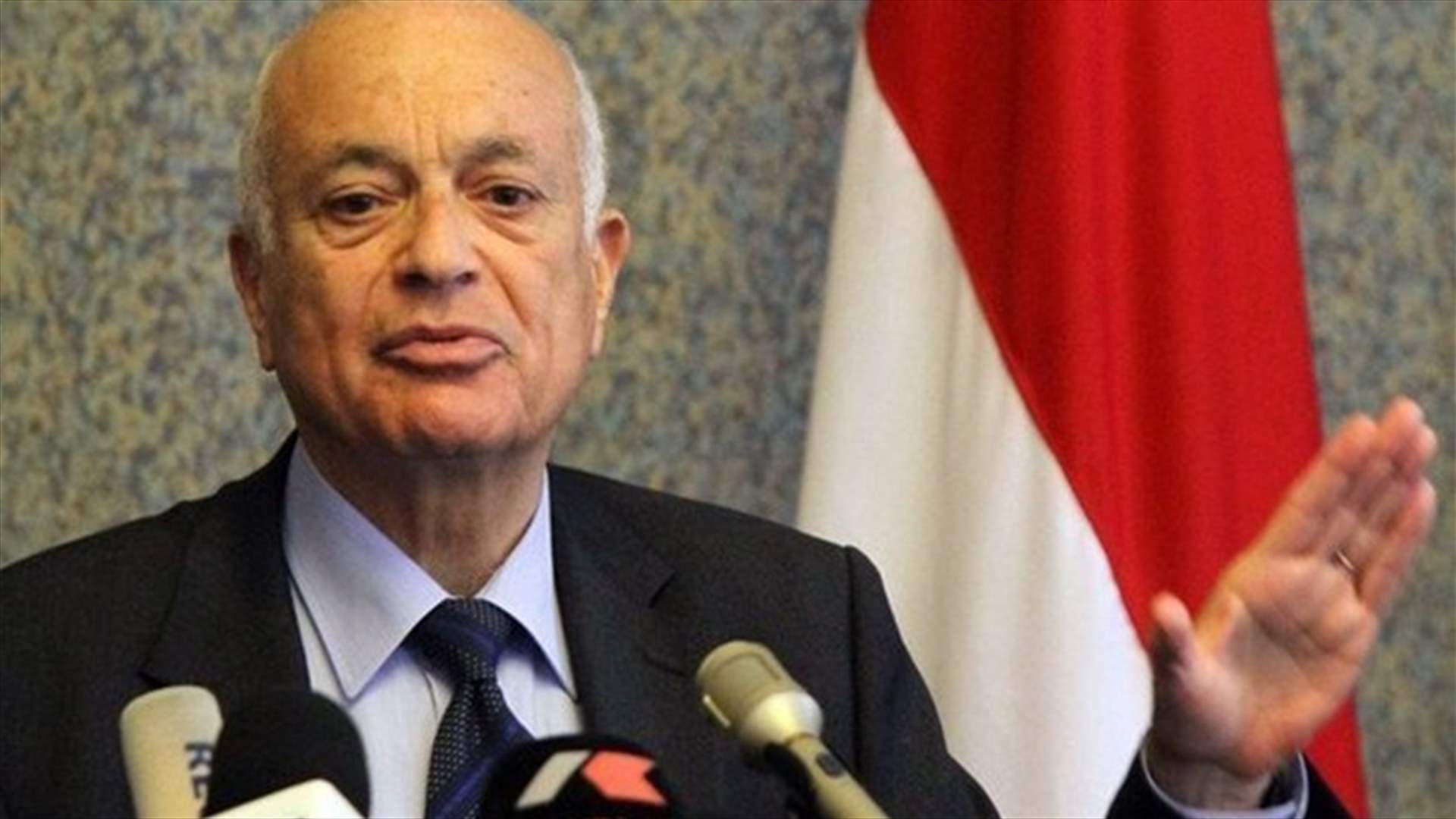 Arab League chief sees monitors in Syria by end of December