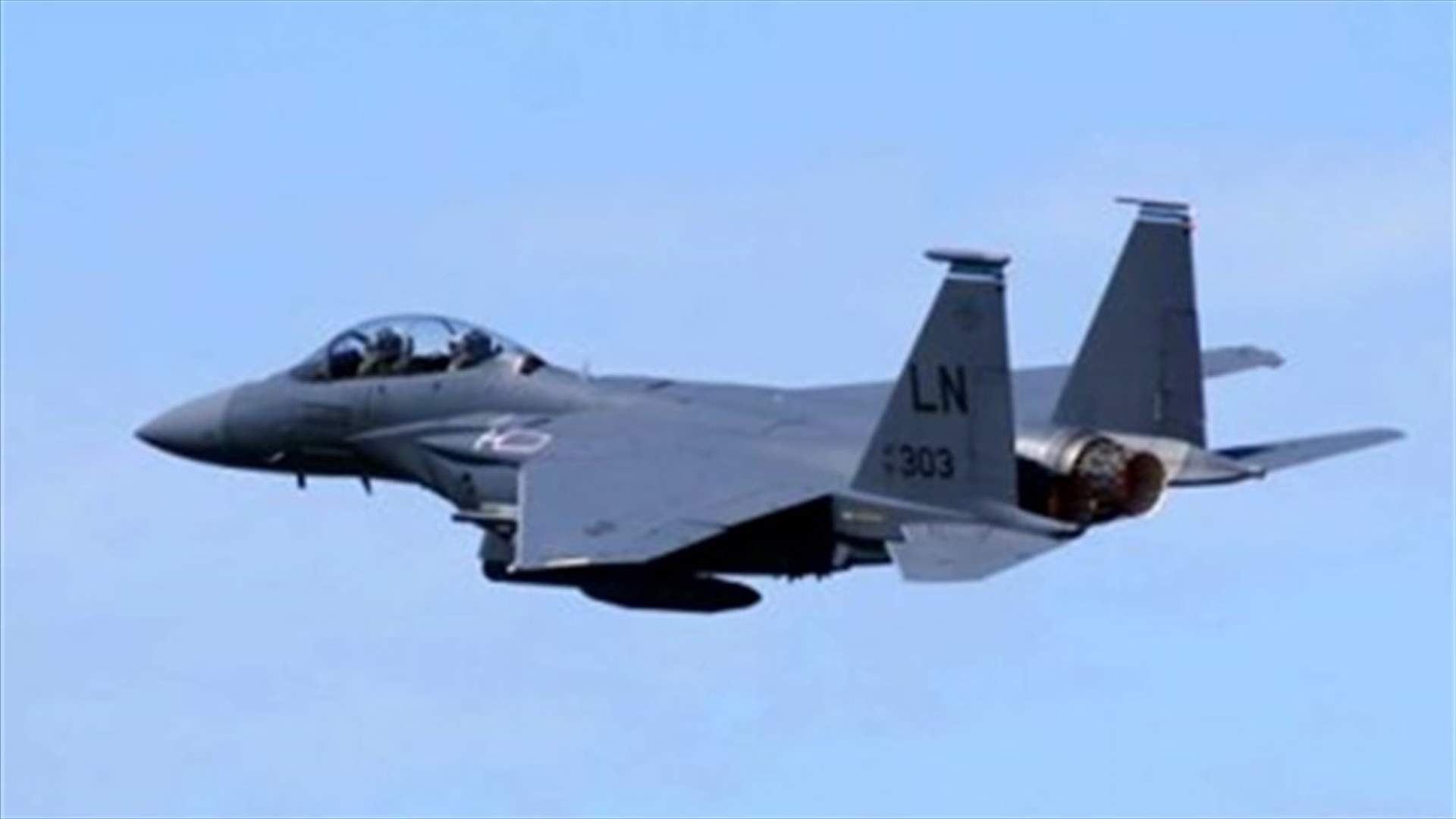 Saudi military aircraft crashes after collision with bird 