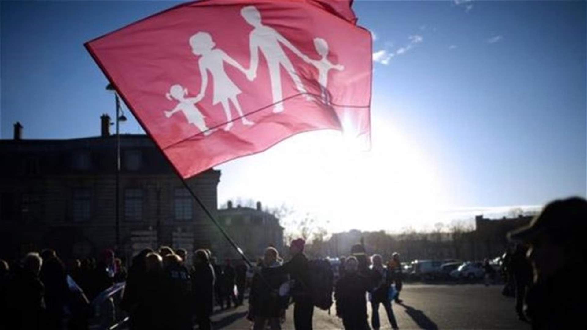 French gay marriage protest draws thousands