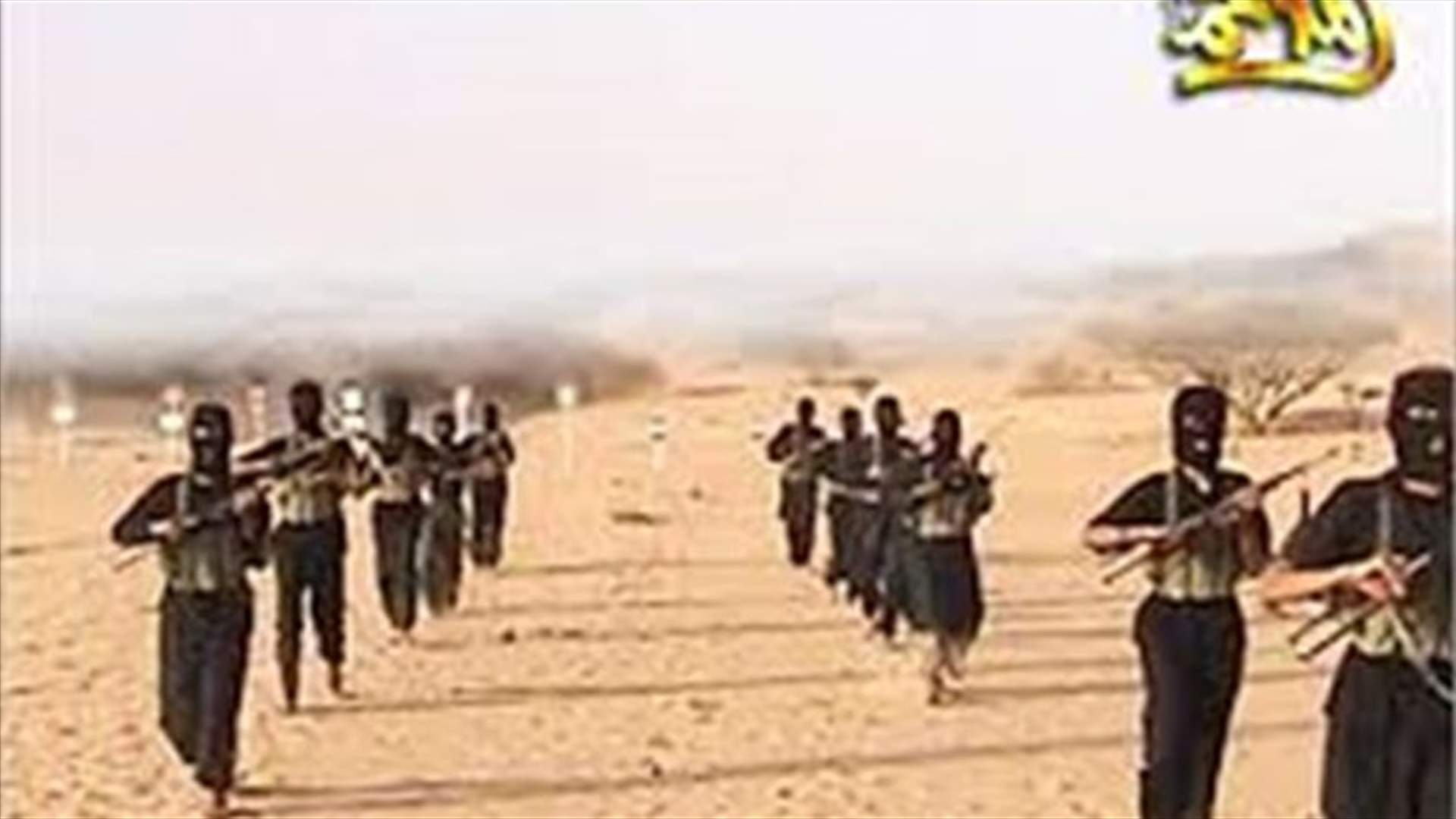 Al Qaeda says has no link with Syrian militant group ISIL